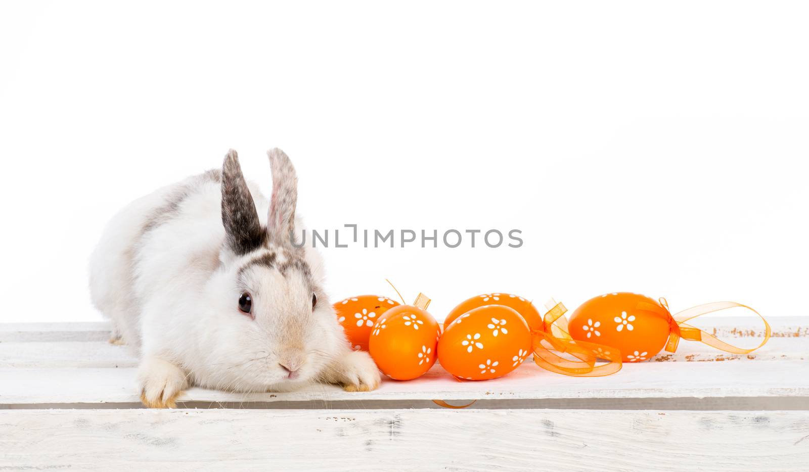 cute white Easter bunny with Easter eggs