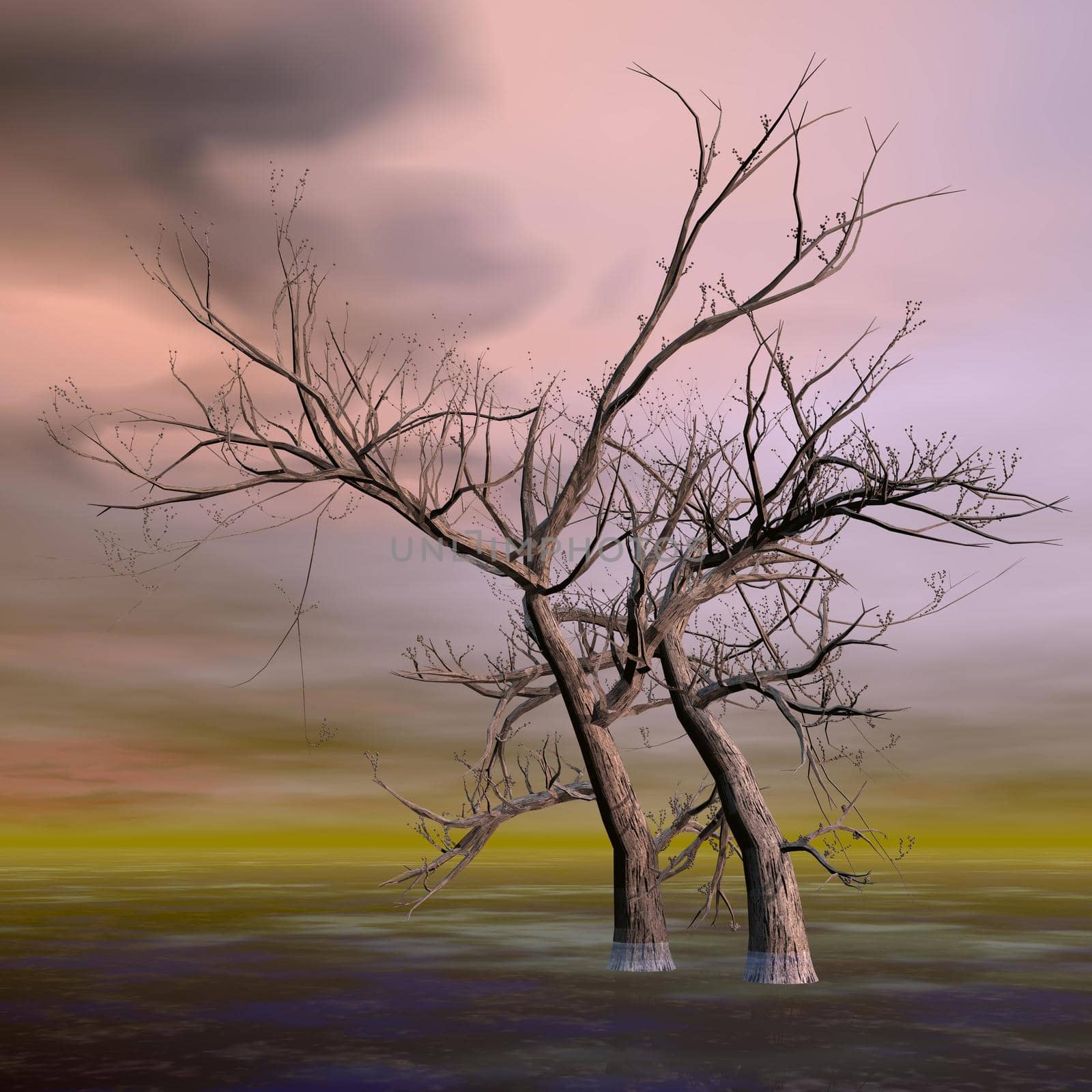 Fantasy trees - 3D render by Elenaphotos21