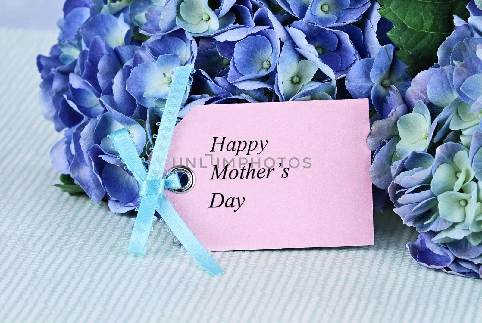 Mothers Day card and flowers over with beautiful hydrangeas and room for your text. Shallow depth of field.