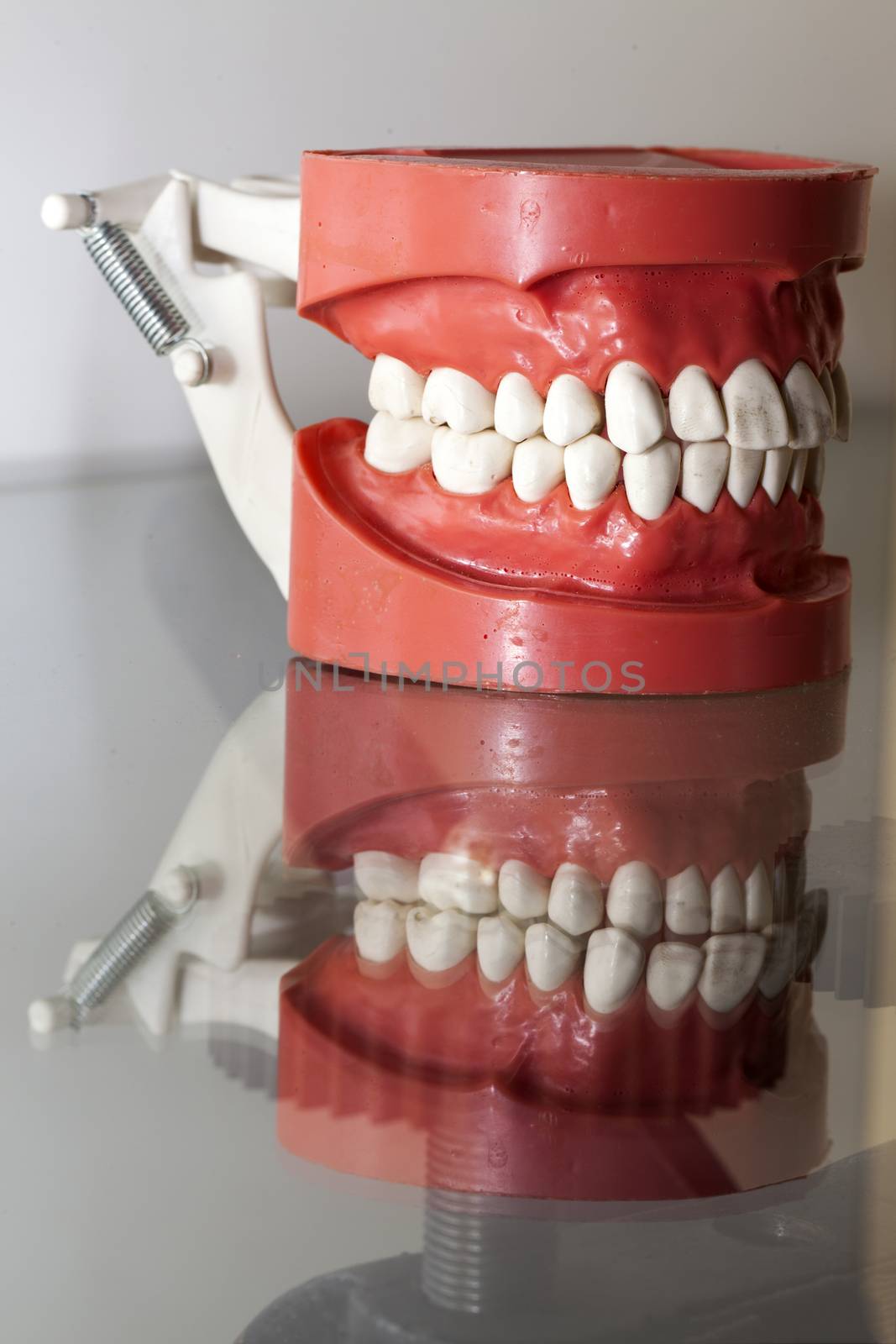 Zirconium Porcelain Tooth plate in Dentist Store by okanakdeniz
