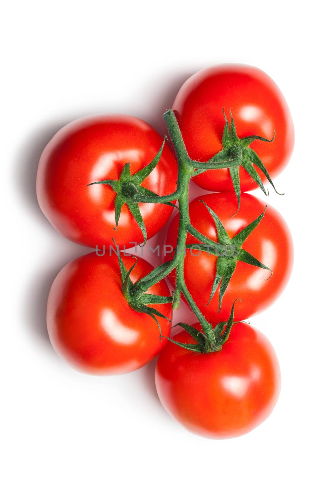 Tomatoes on branch on white background. Top view