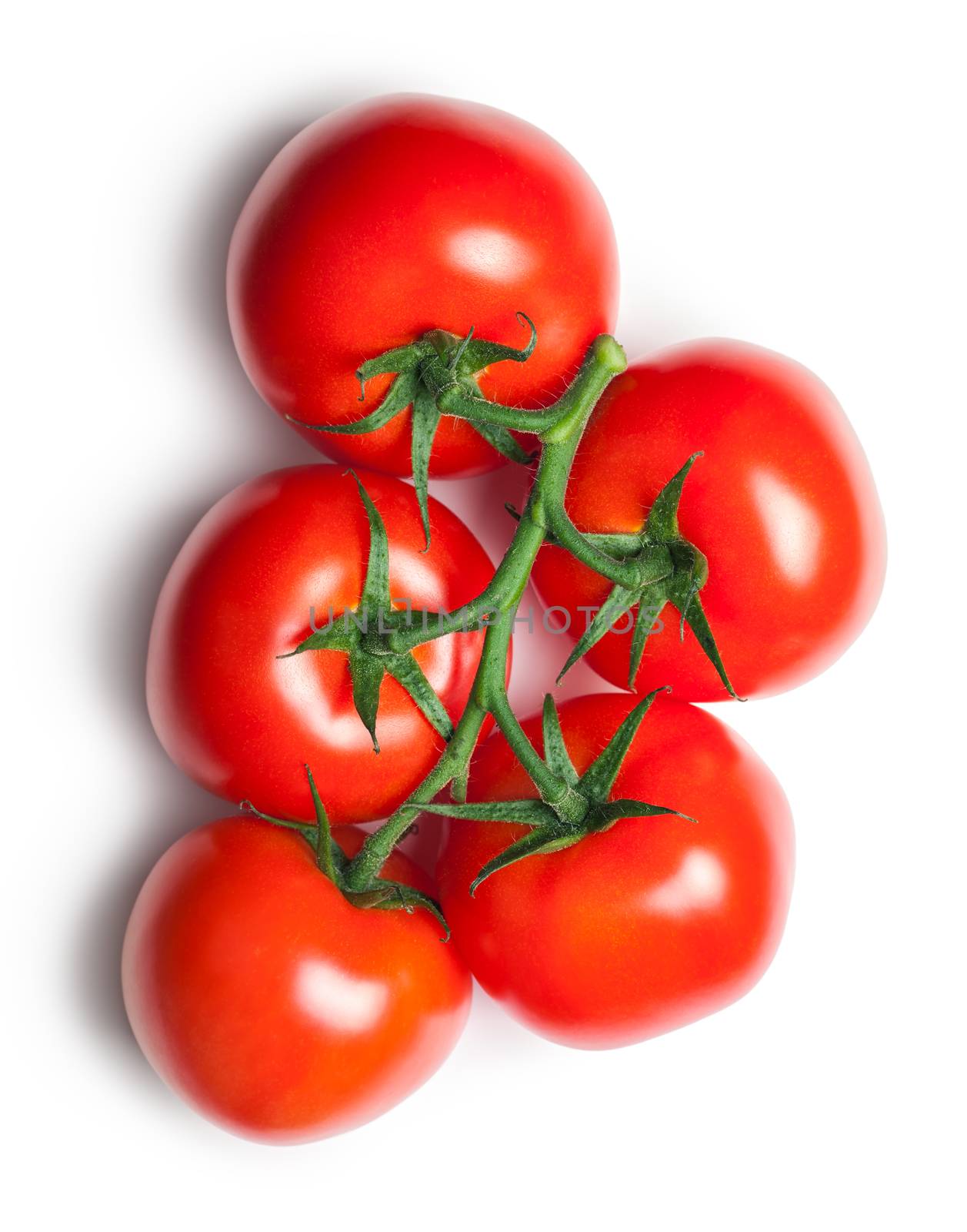 Red tomatoes on white background. Top view