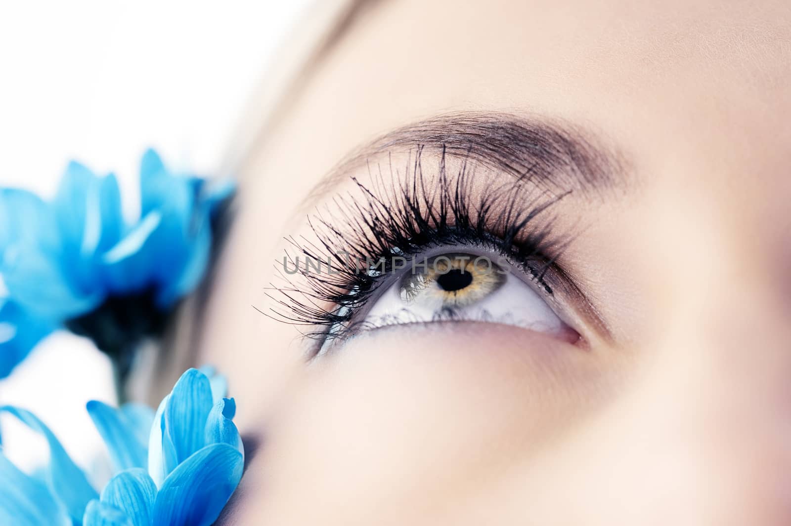 closeup of the eye of woman with creative eyelashes and blue daisy