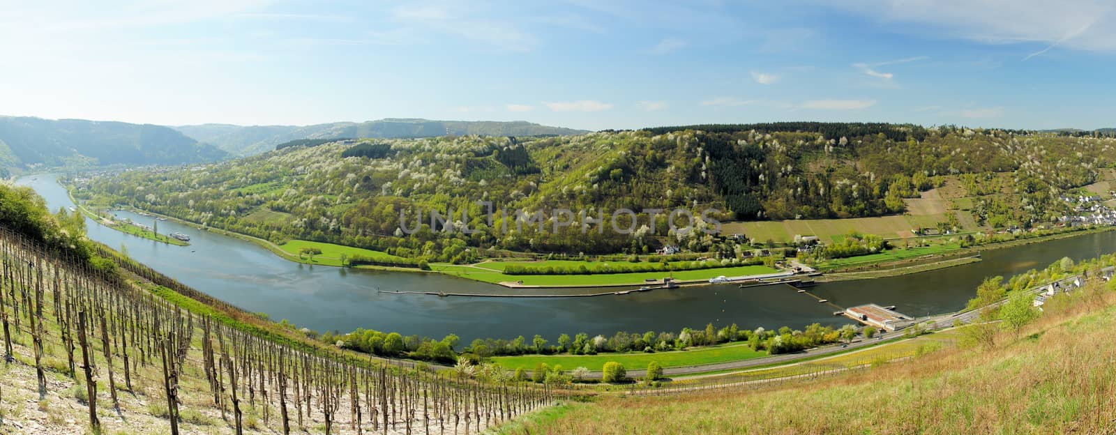 Moselle Valley with the lock near Enkirch panorama in spring