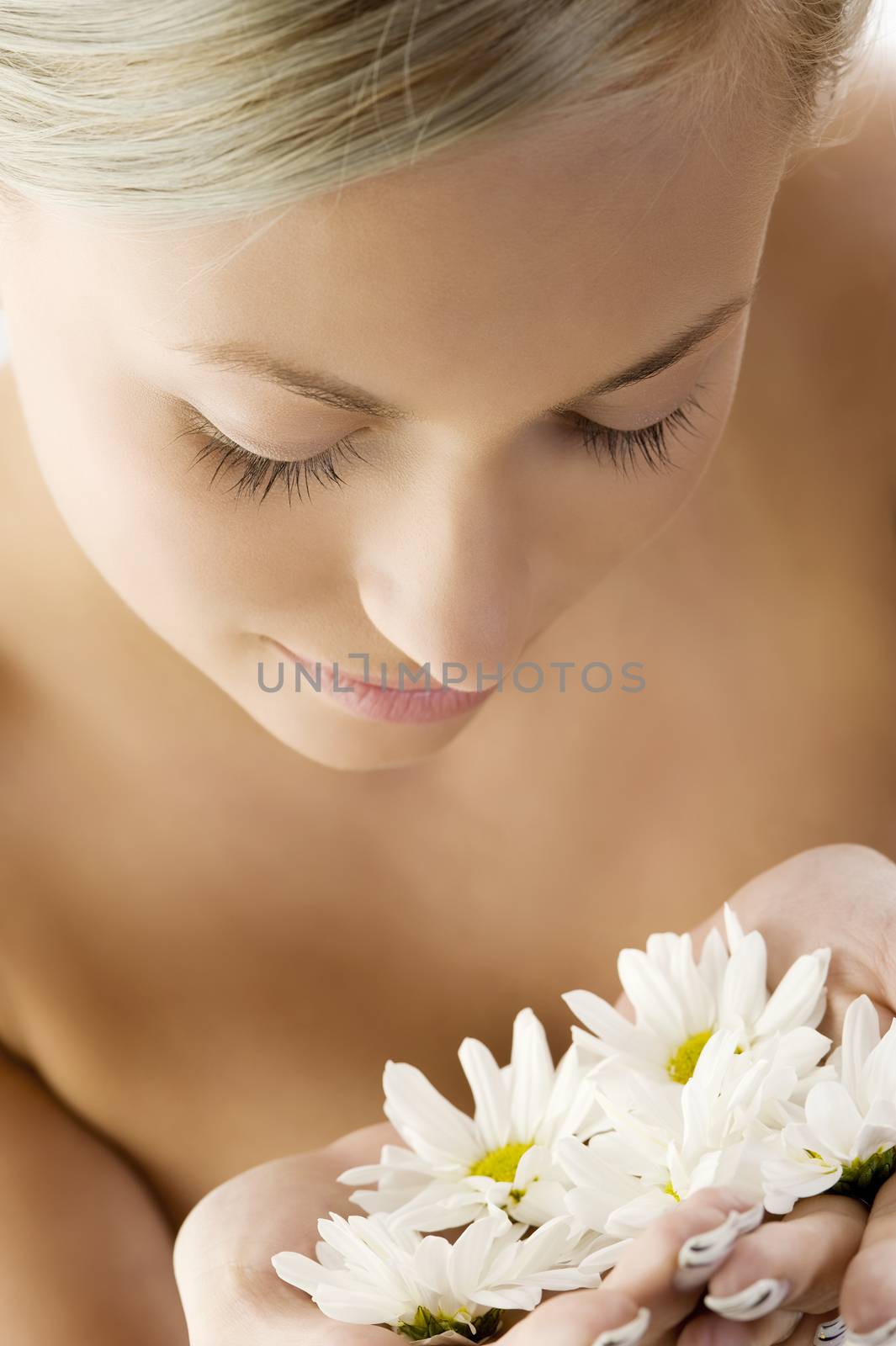 beauty portrait of a beautiful woman with twist braid and some white daisy
