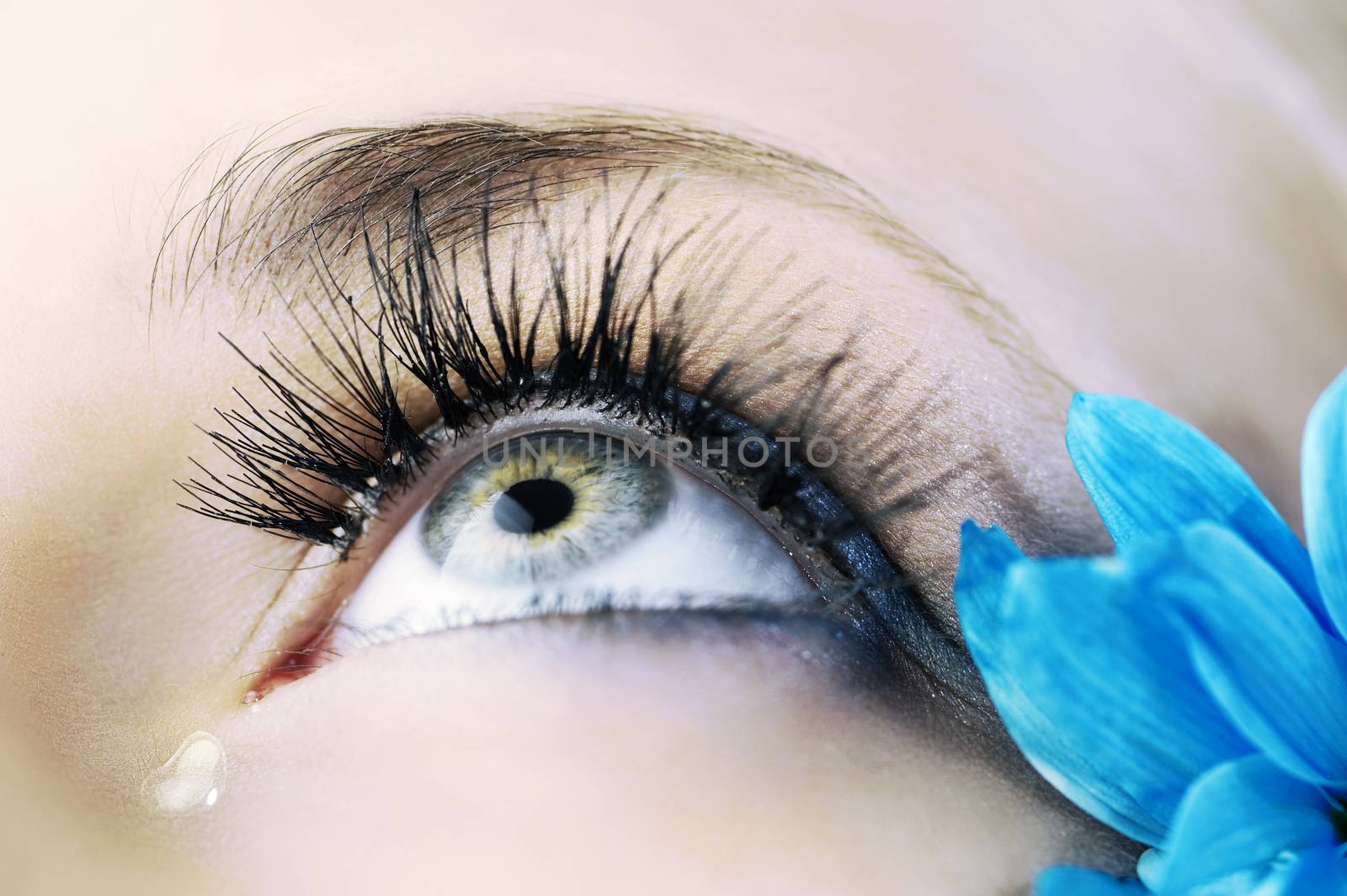 closeup of the eye of woman with creative eyelashes and blue petals