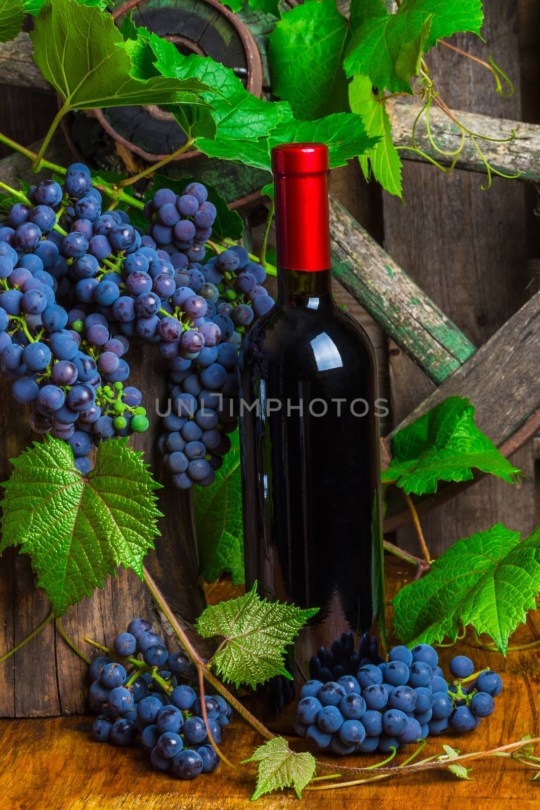 A bottle of red wine on the background of dark grapes