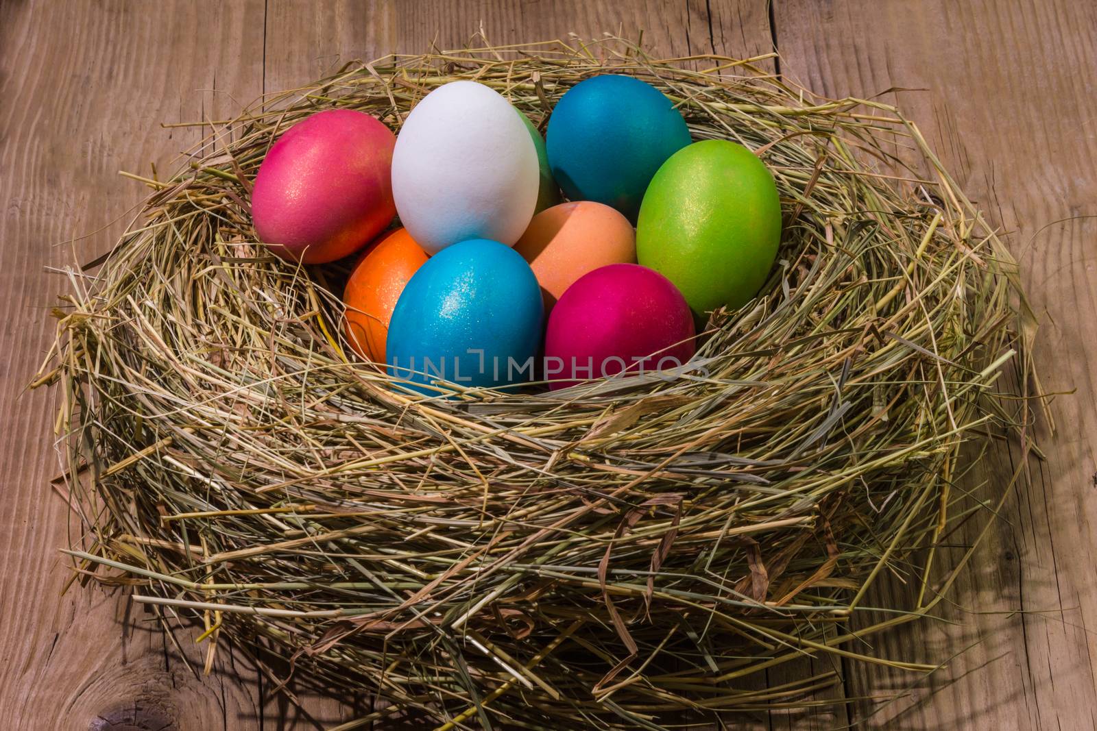 Nest with Easter eggs by oleg_zhukov