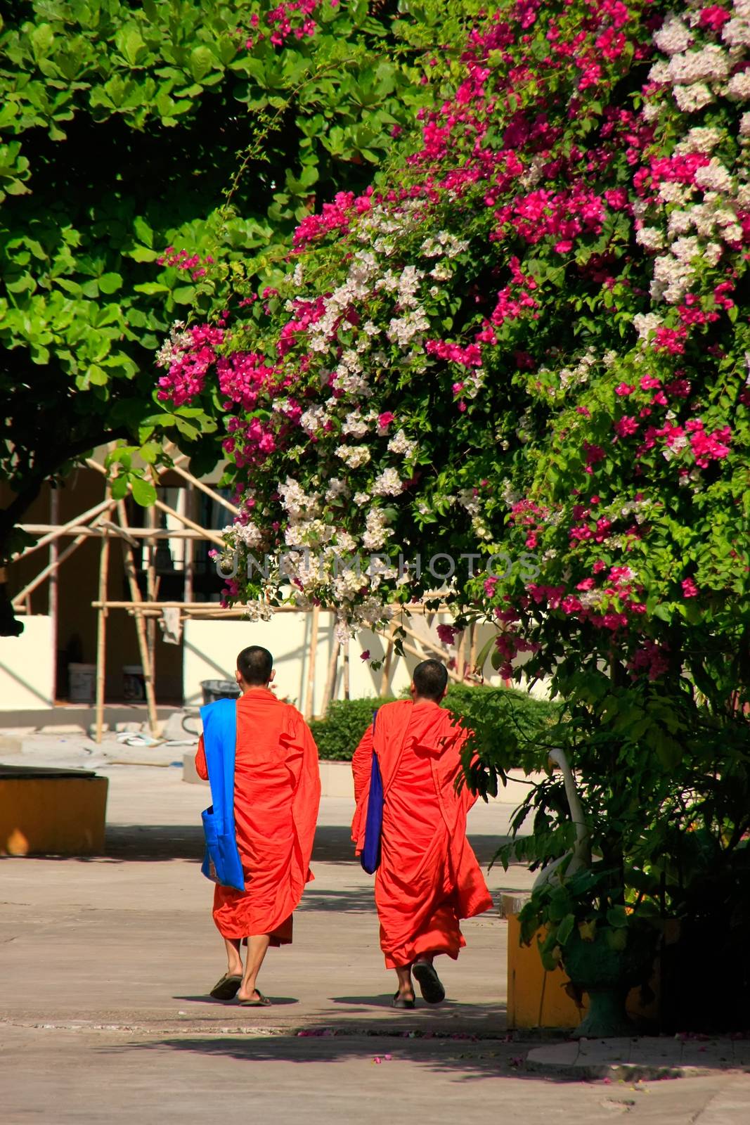 Two monks walking at Wat Si Saket, Vientiane, Laos by donya_nedomam