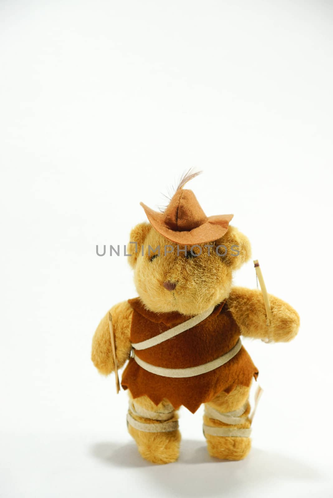 robinhood bear doll on white scene