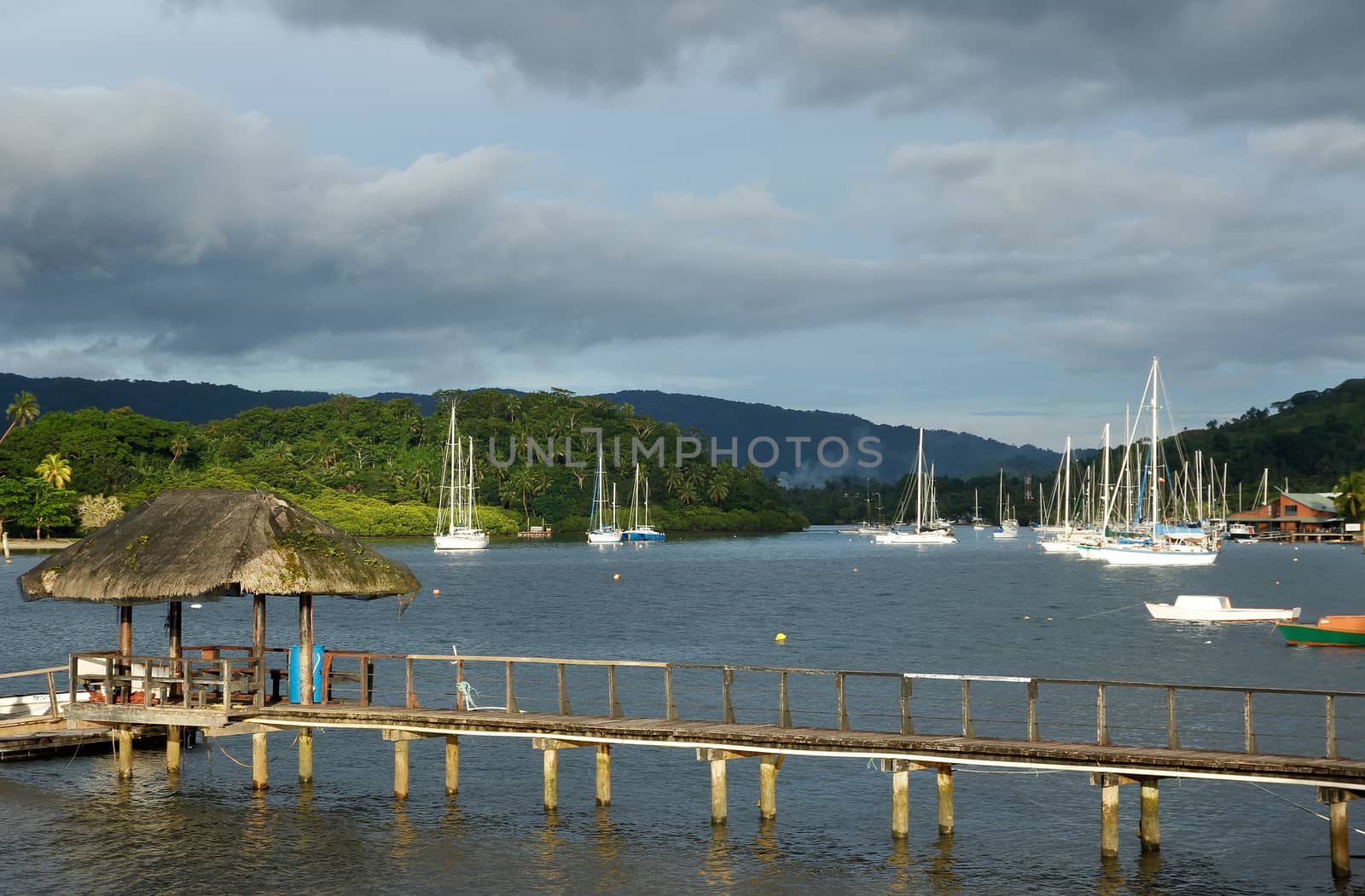 Wooden pier at Savusavu harbor, Vanua Levu island, Fiji by donya_nedomam