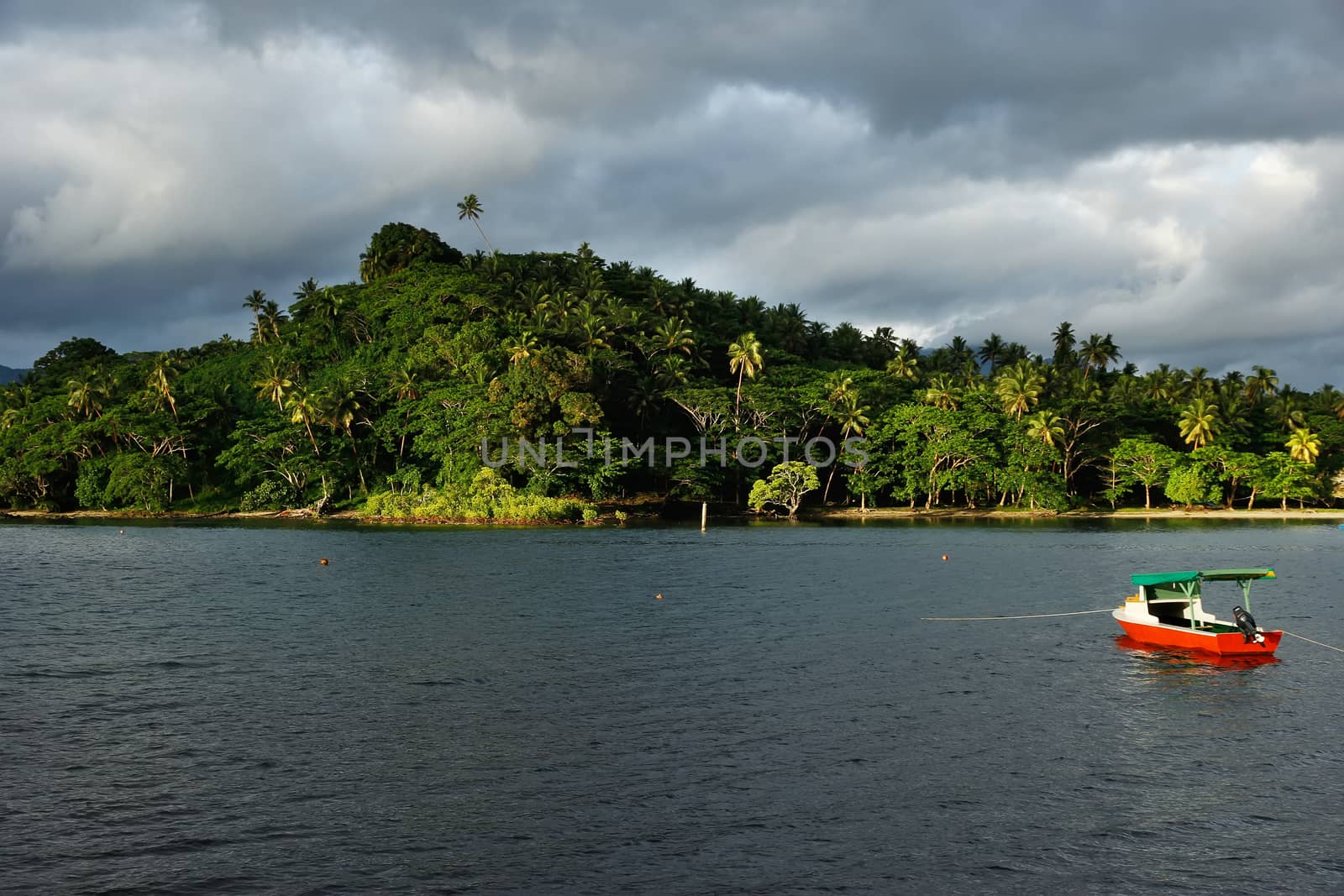 Colorful boat at Savusavu harbor, Vanua Levu island, Fiji by donya_nedomam