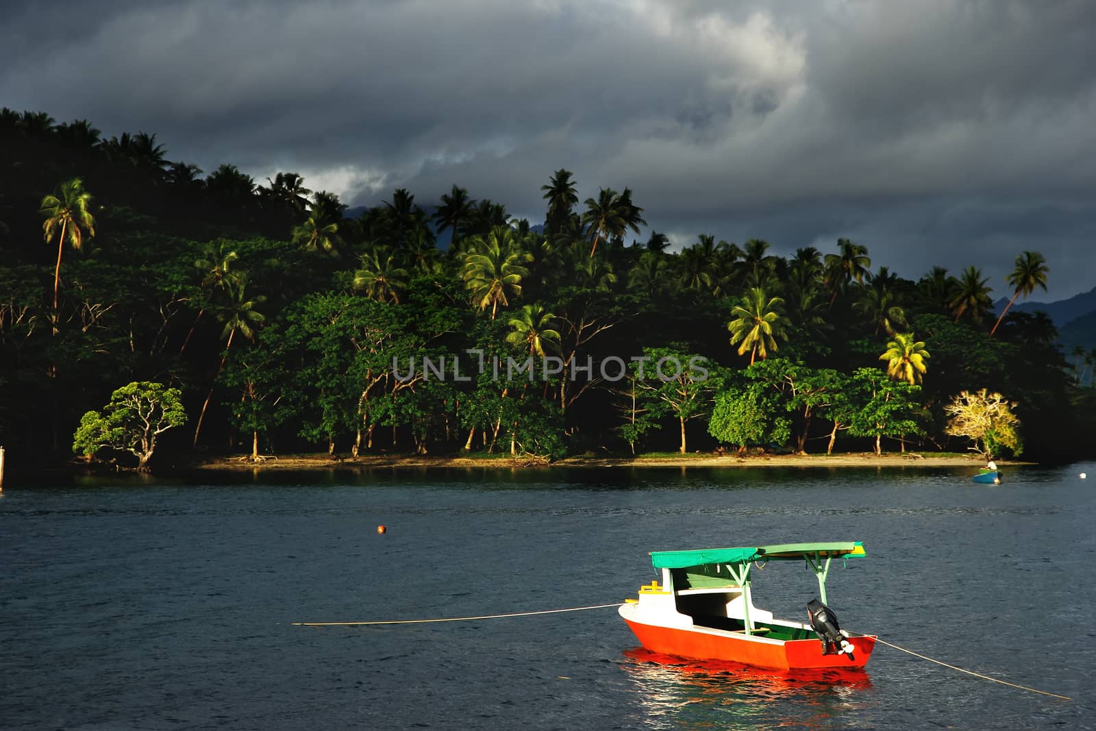 Colorful boat at Savusavu harbor, Vanua Levu island, Fiji by donya_nedomam