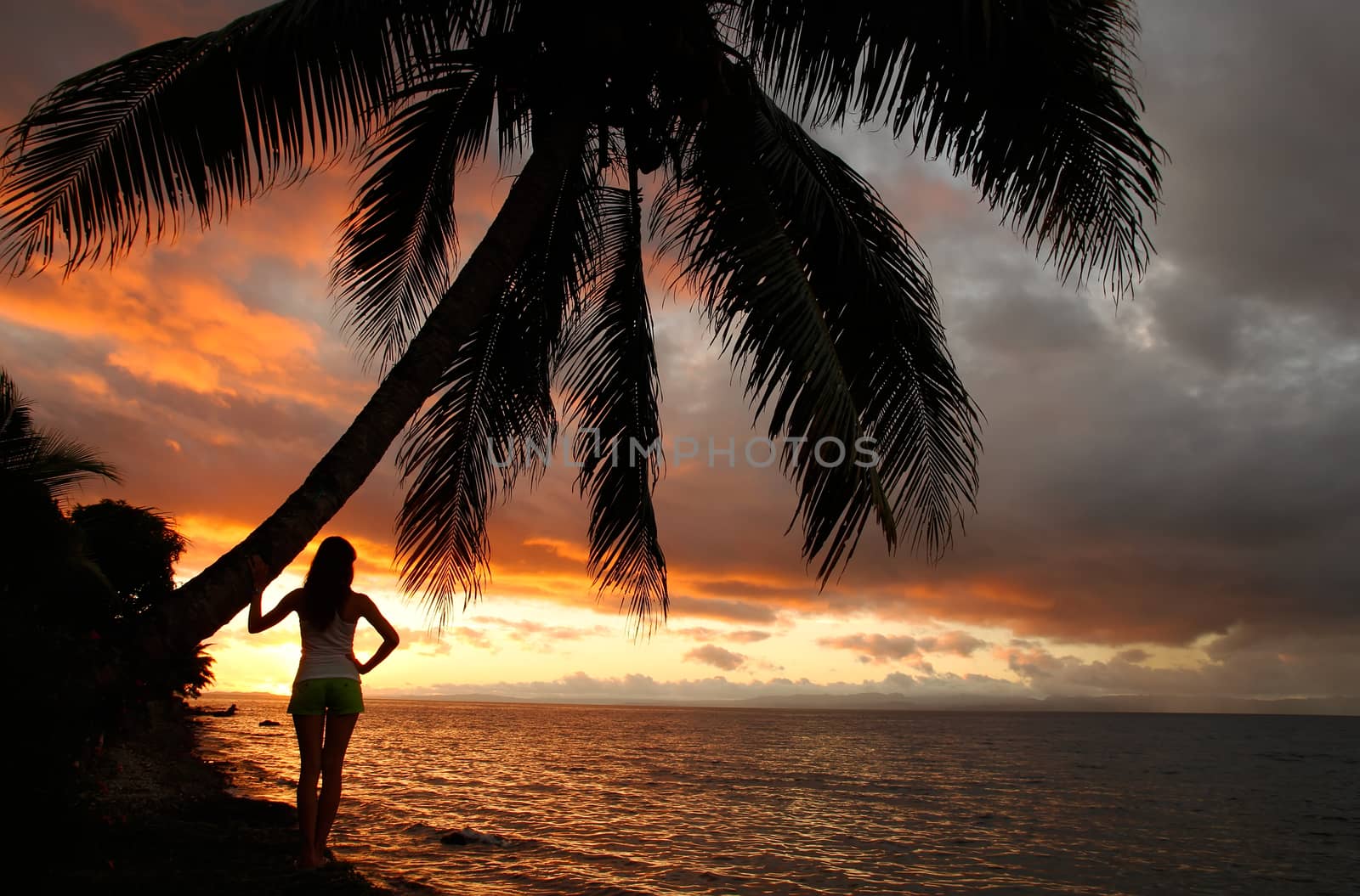 Silhouetted young woman by the palm tree on a beach, Vanua Levu island, Fiji, South Pacific