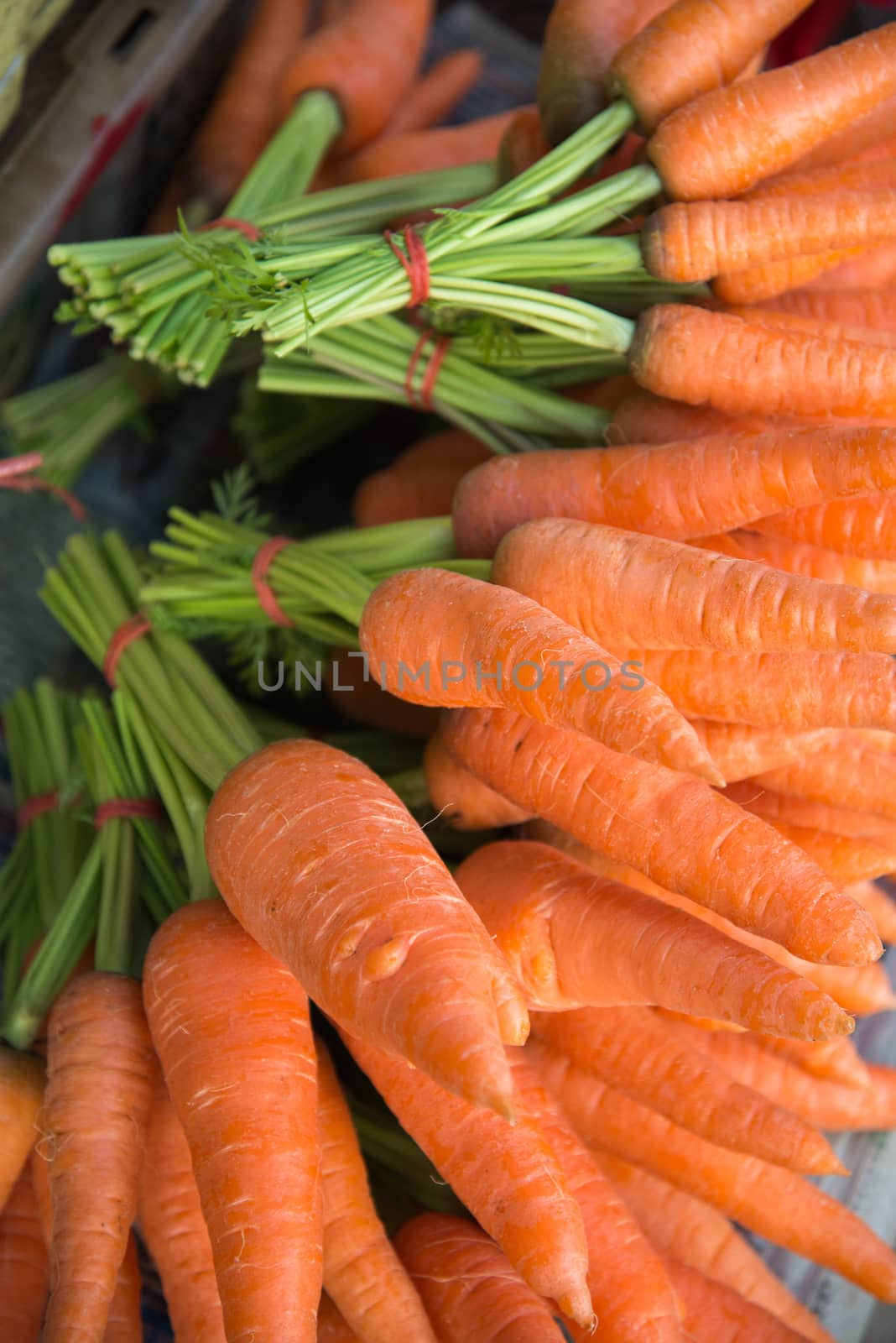 A bunch of fresh carrots on natural background by jakgree