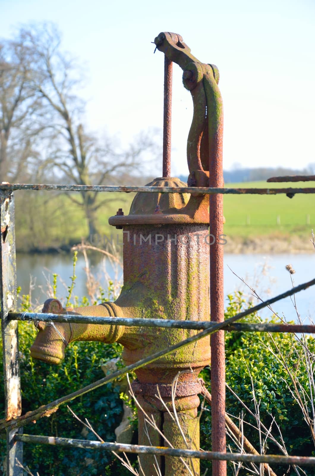 Vintage water tap with pond behind