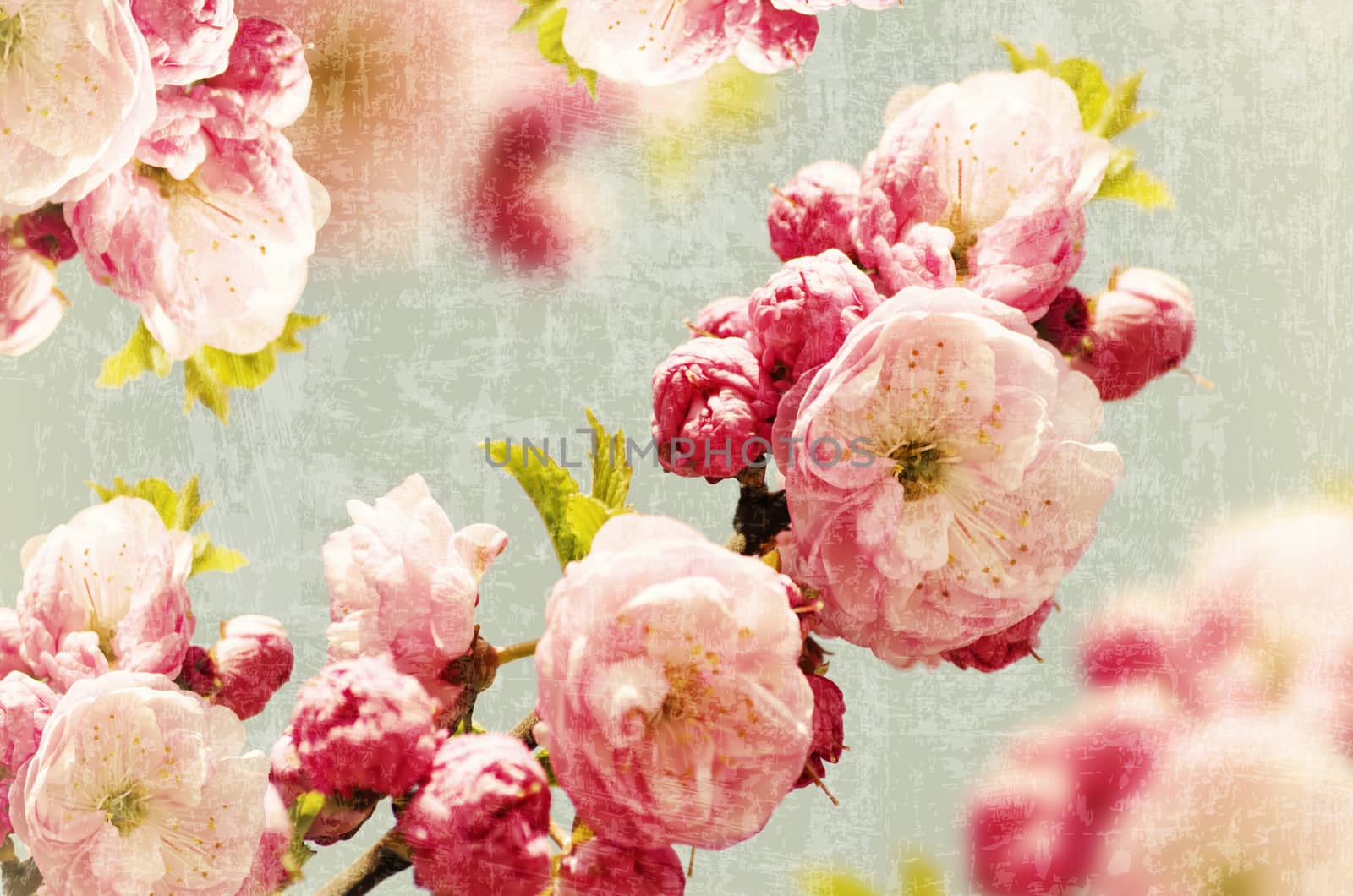 Abstract Vintage Pink Small Roses Background 