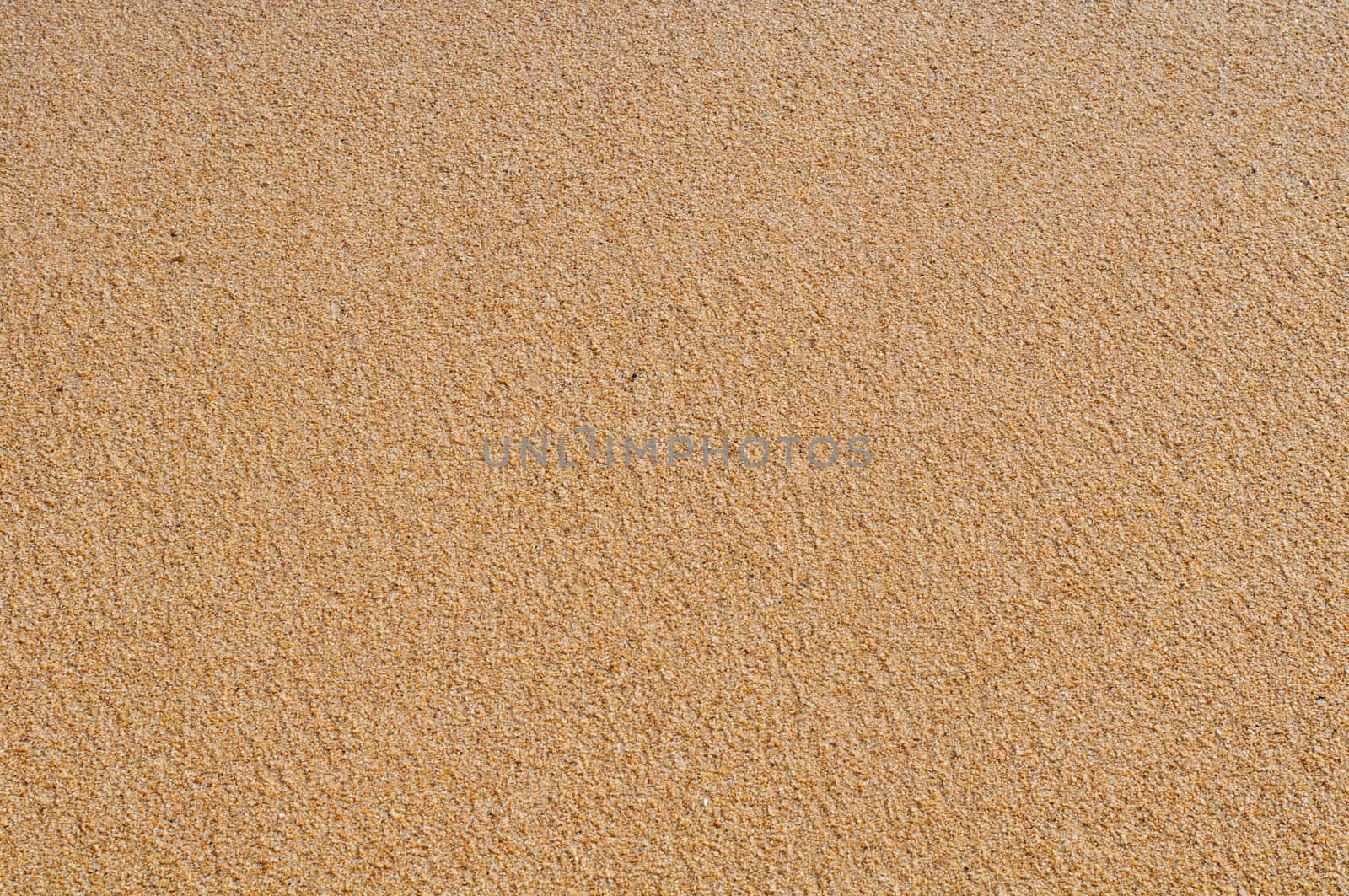 Coarse sand background texture of coarse sand grains.