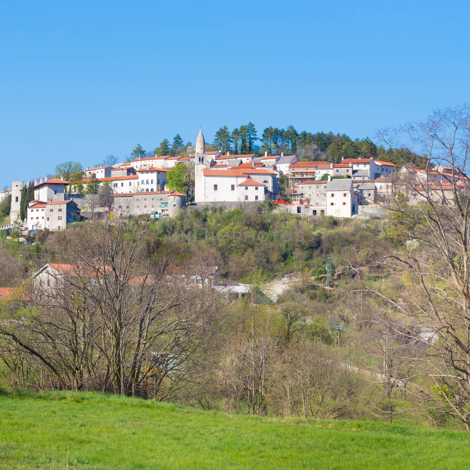 Traditional village on slovenian Karst. Stanjel, Slovenia, Europe.