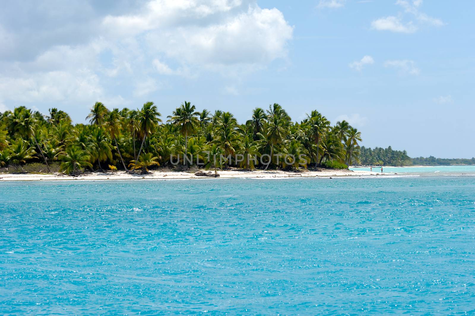 Caribbean island with a nice beach and green palms. The picture of the beach is taken from a boat on sea.