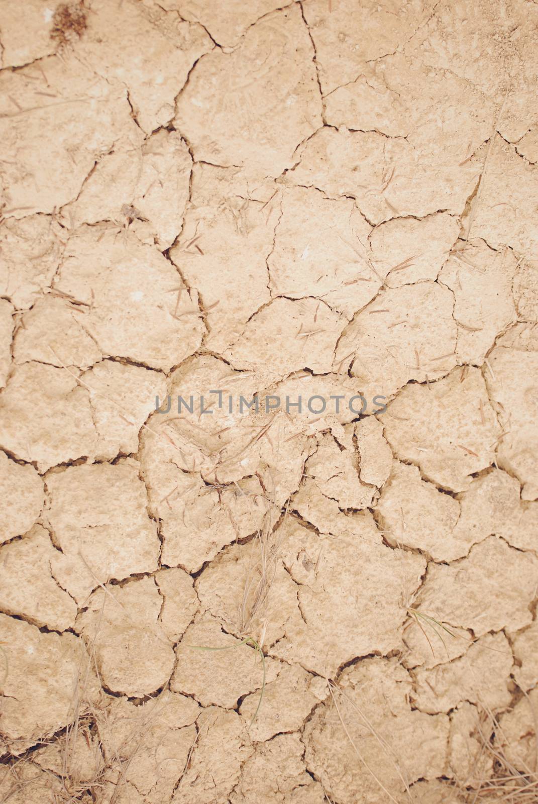 close up of dried out ground to use as a background