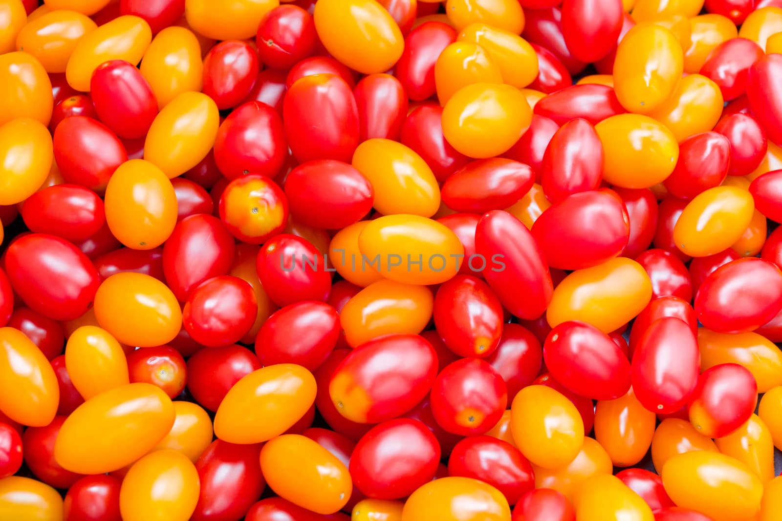 Photo of background with fresh red and yellow tomatos