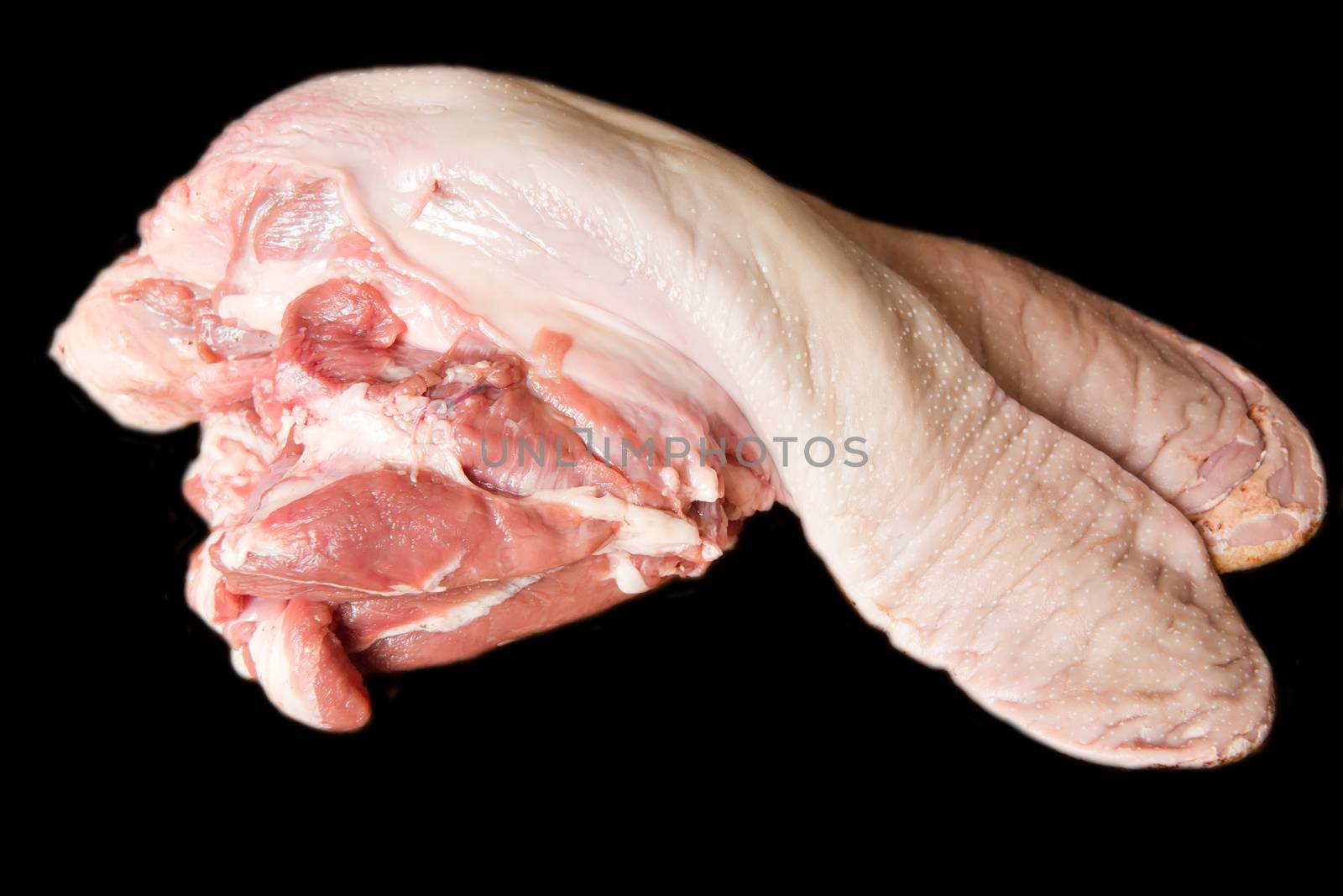 Photo of raw pork tongue on black background