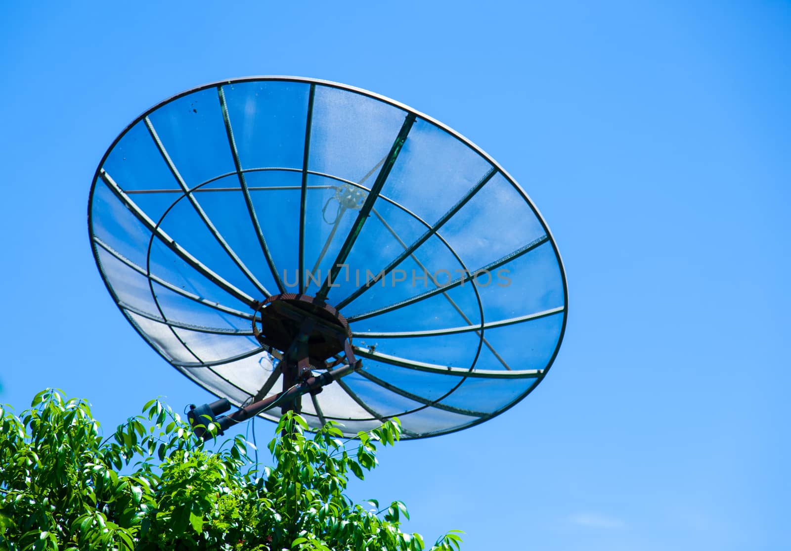 Satellite dish by a454