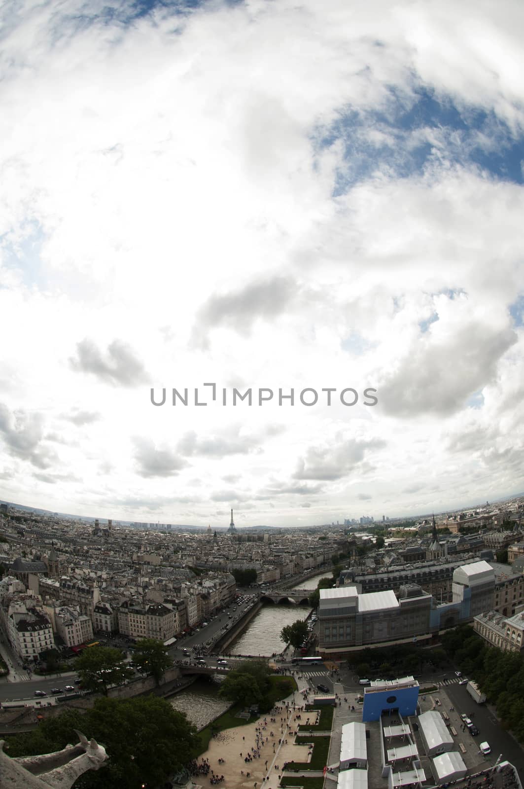View from Notre- Drame Cathedral, Paris by rodrigobellizzi