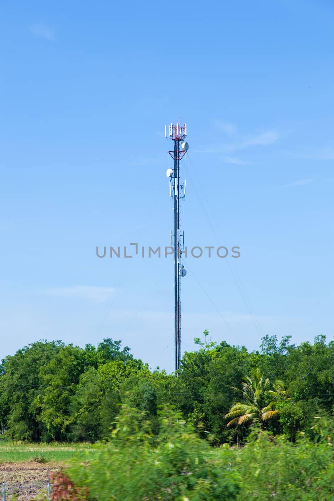 Telecommunications antenna. The station is located in an area covered with tall trees.