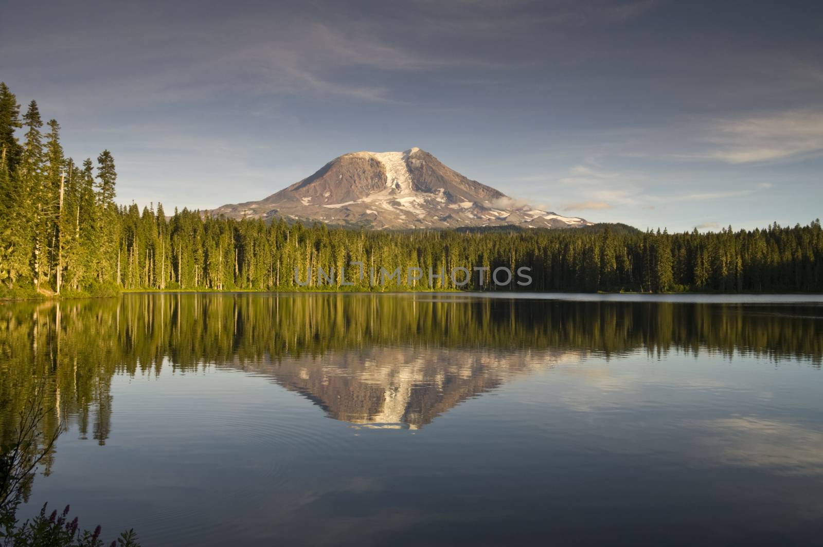 Mount Adams from Lake Takhlakh