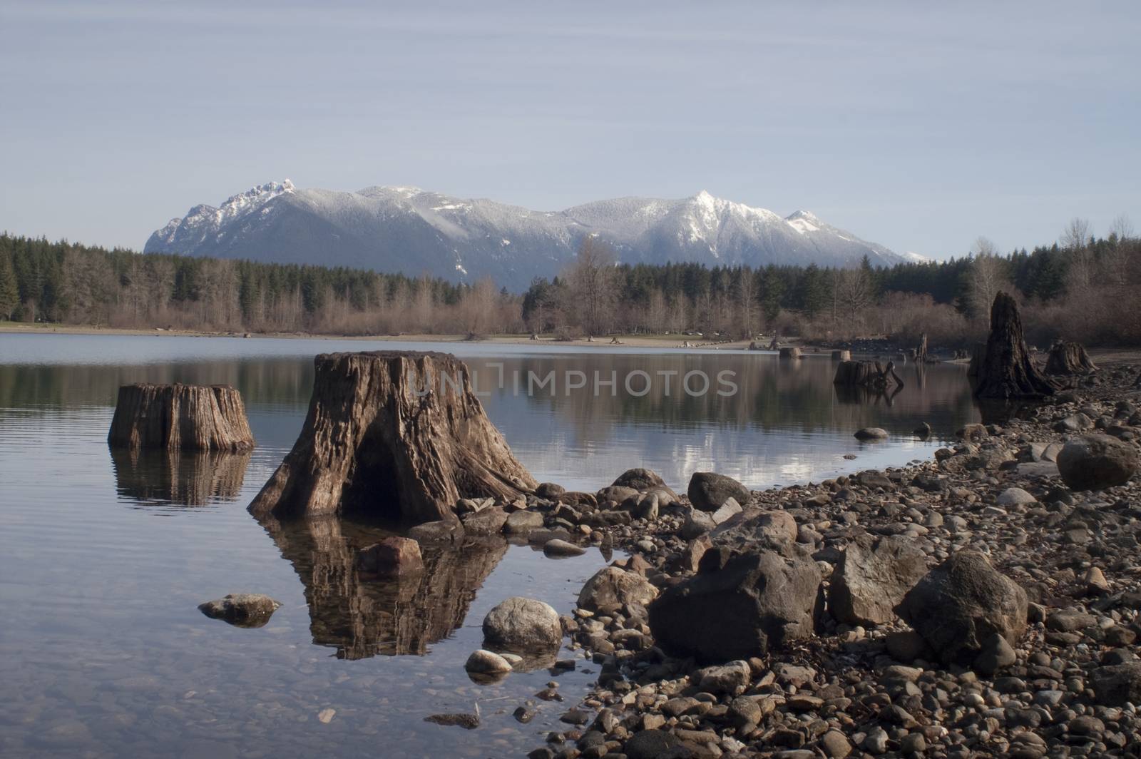 Tree Stumps Rattlesnake Lake Mount SI North Cascade Mountains by ChrisBoswell