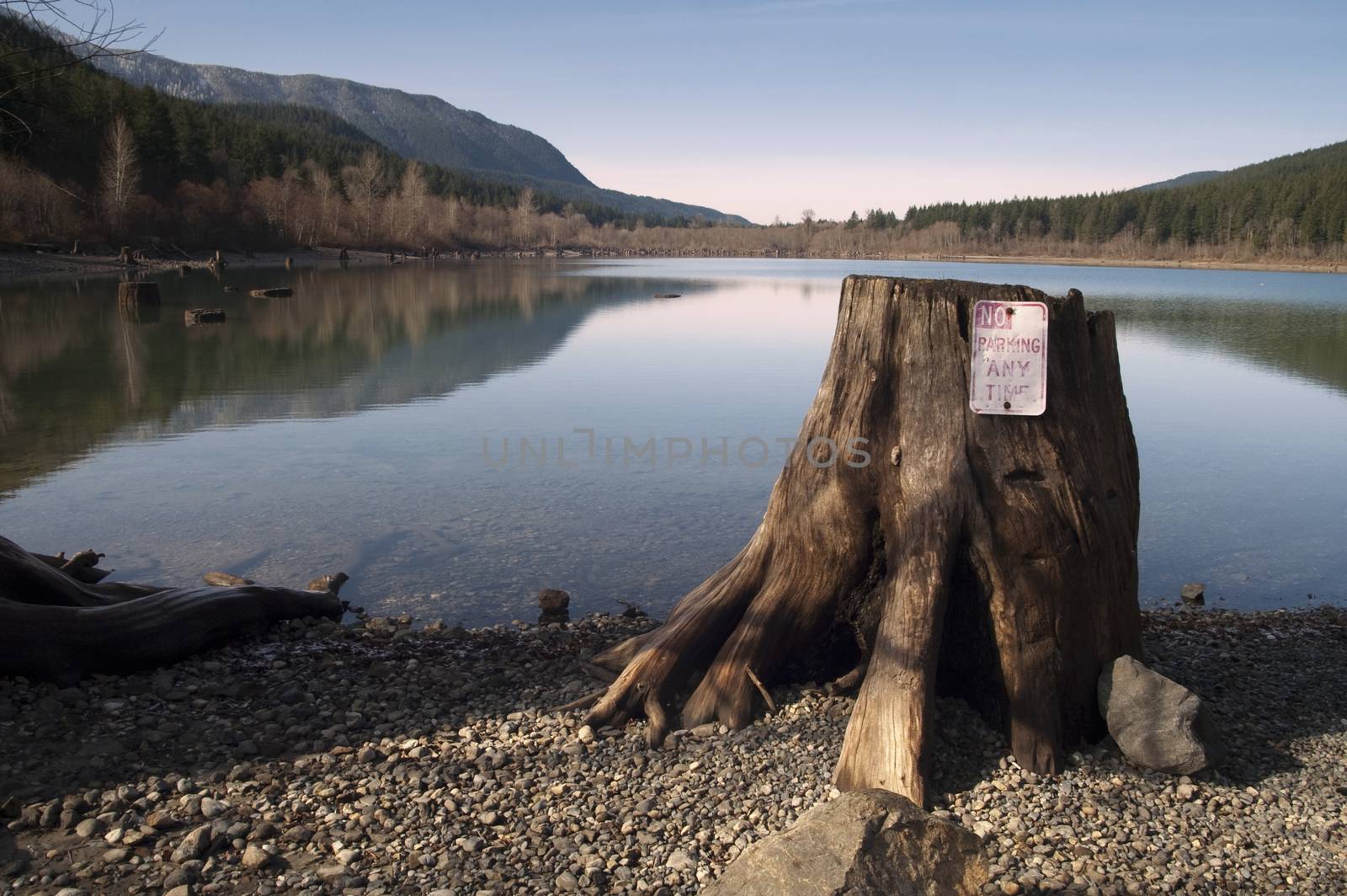 Tree Stump No Parking Sign Rattlesnake Lake North Cascade Mountains by ChrisBoswell