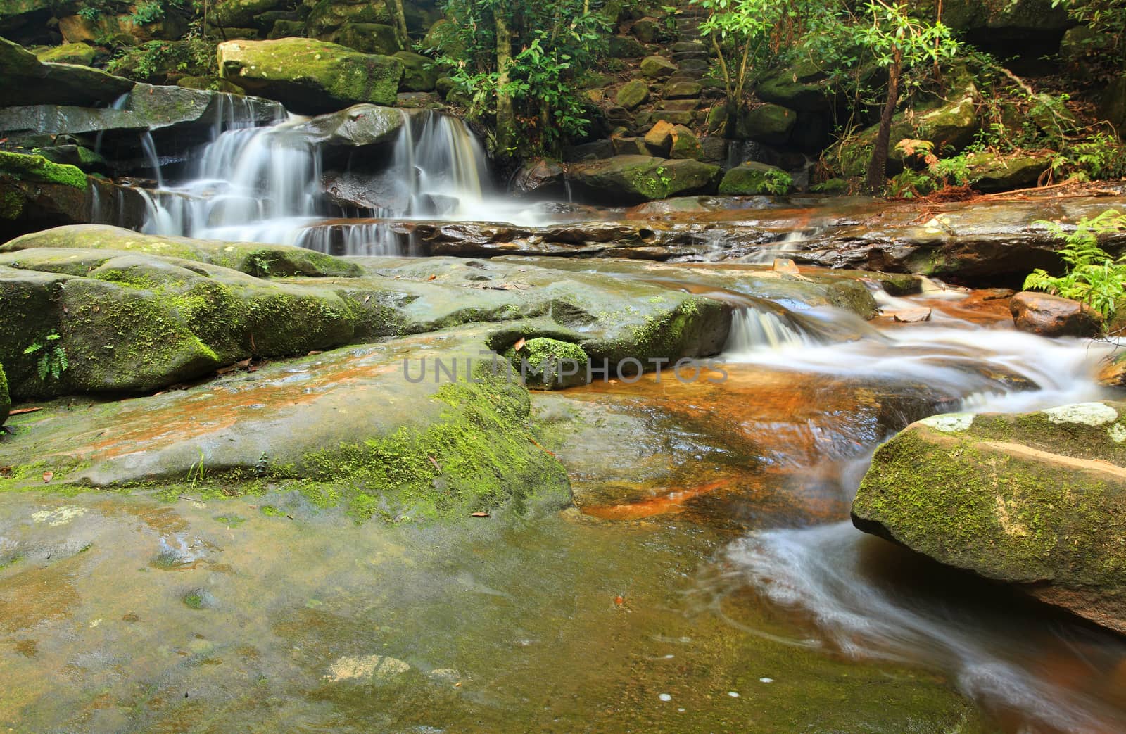 The beautiful waterfalls and flows at Somersby Falls, NSW Australia