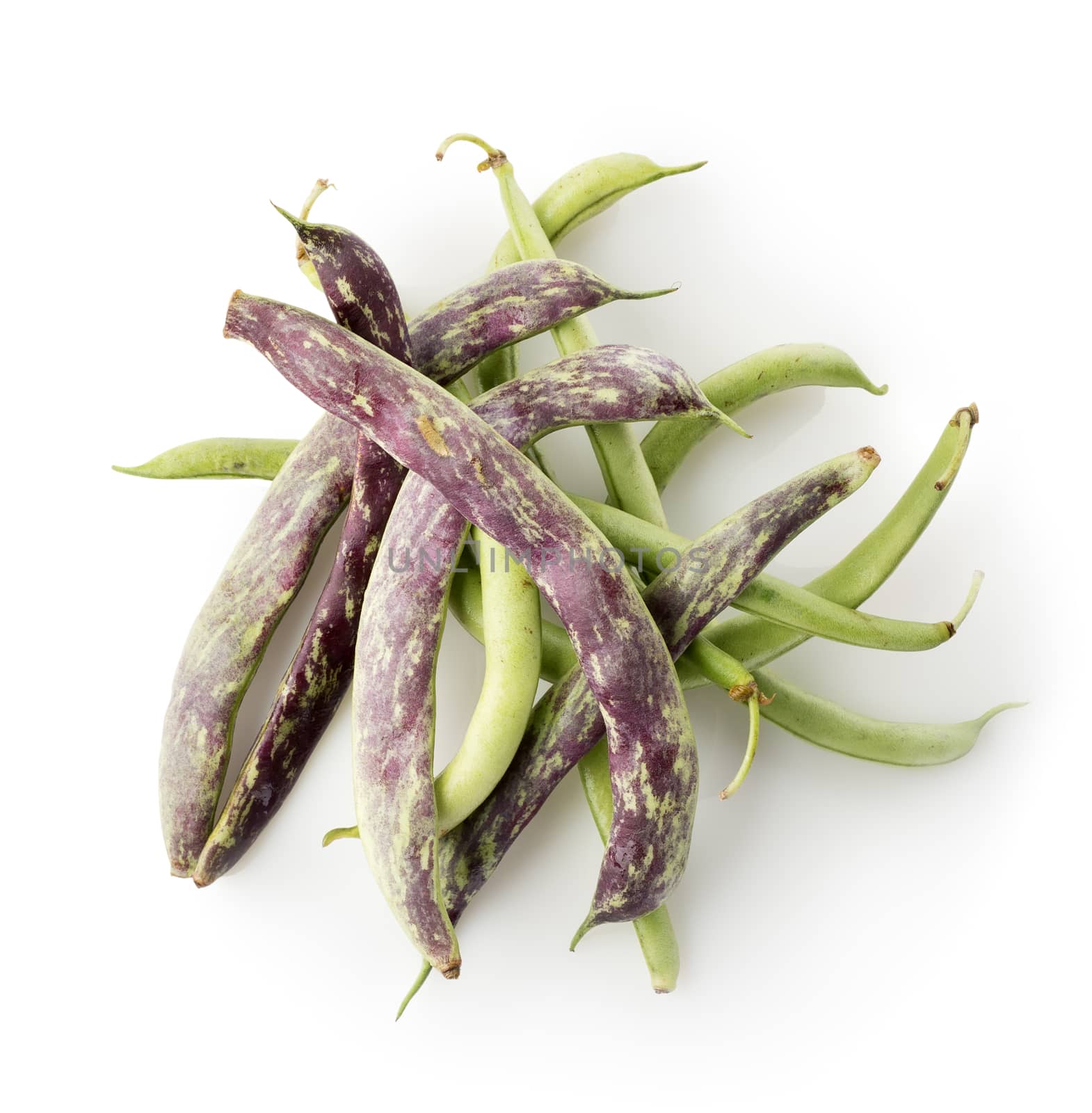 Bean pods isolated by Givaga