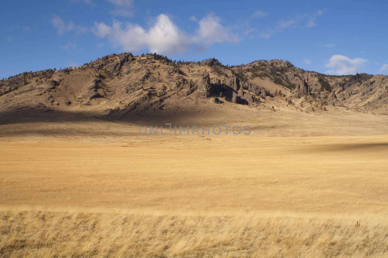 Western light of sunset washing the Idaho landscape in golden hues