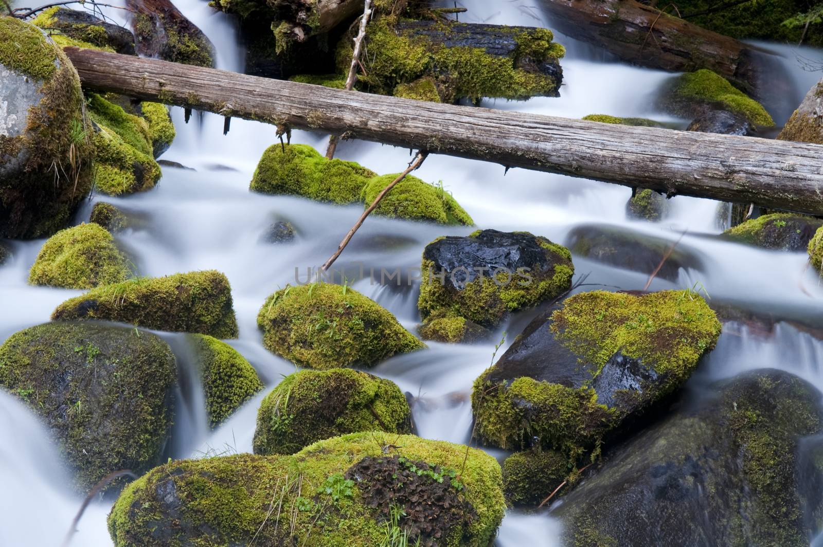 Moss Filled Boulders Fill Stream as Water Rushes By in this Oregon State River