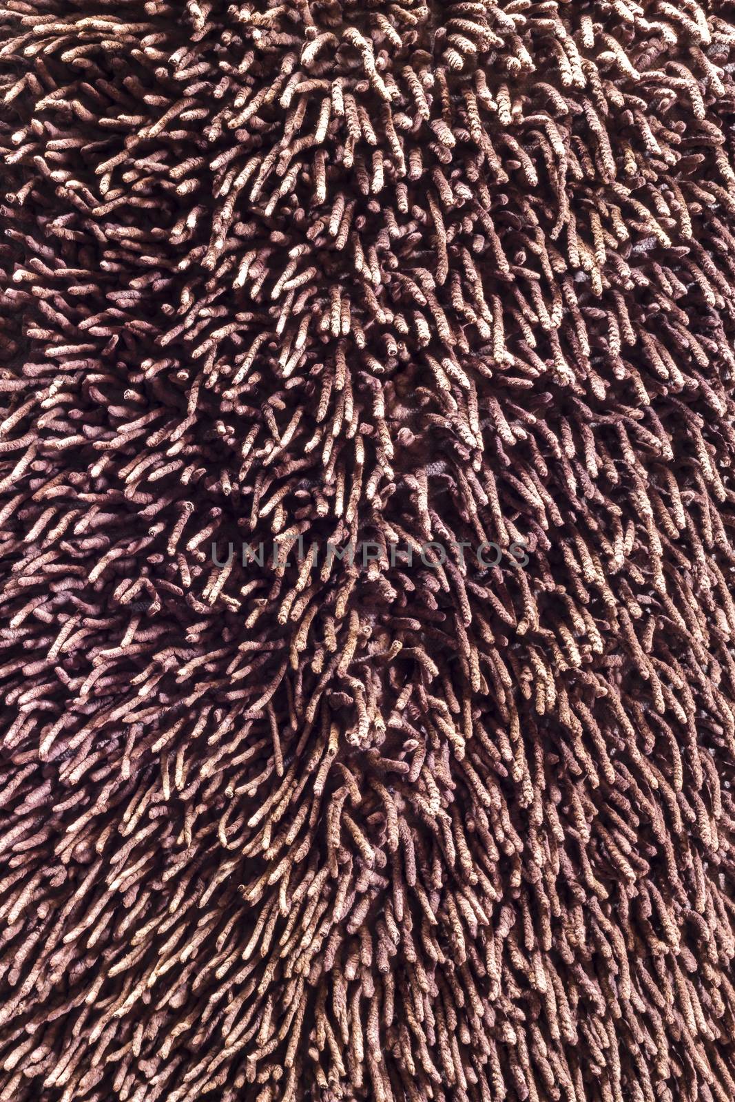 Closeup texture and patern of soft brown carpet