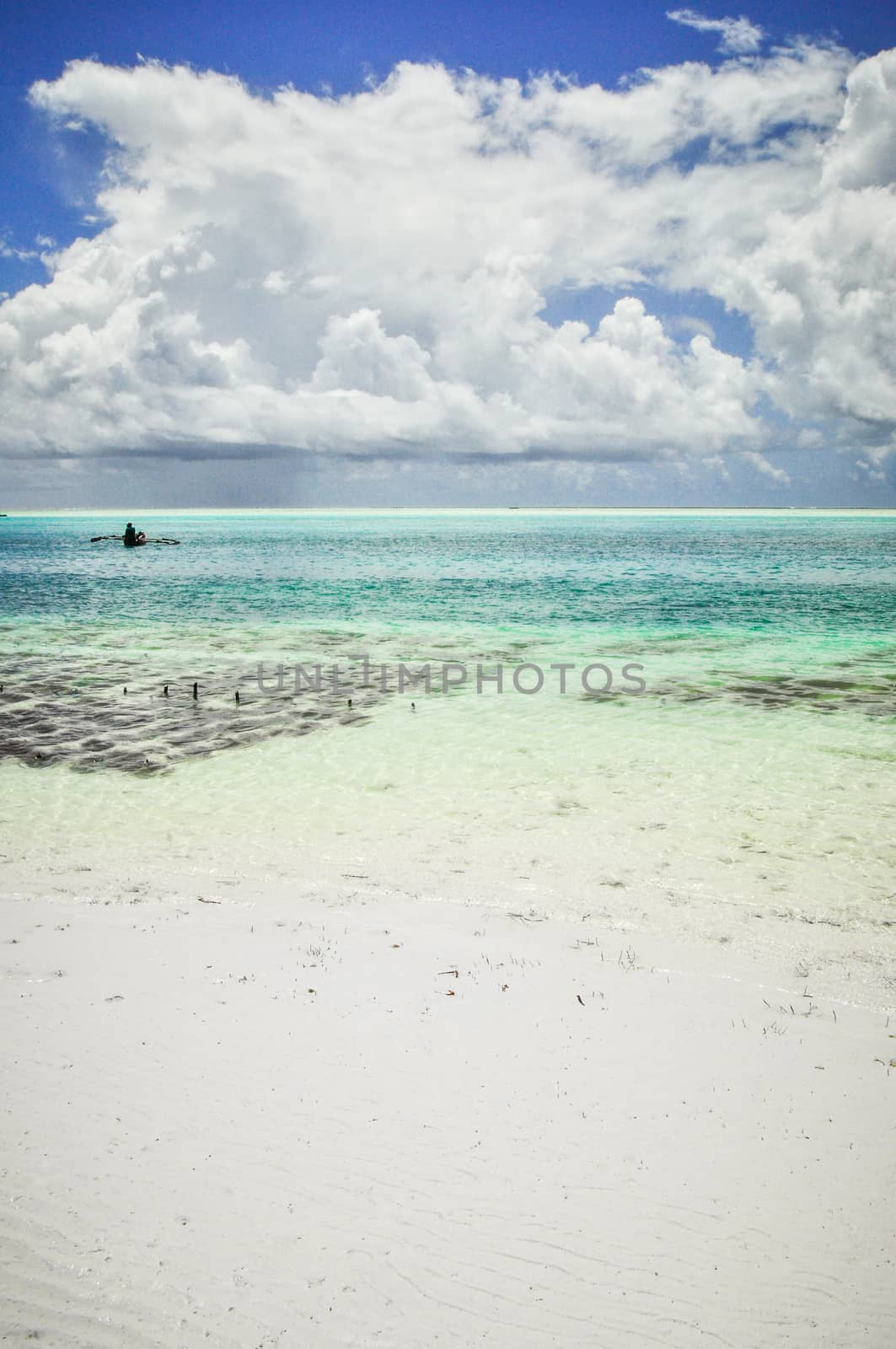 Zanzibar beach and coral rocks bule green ozean Tanzania