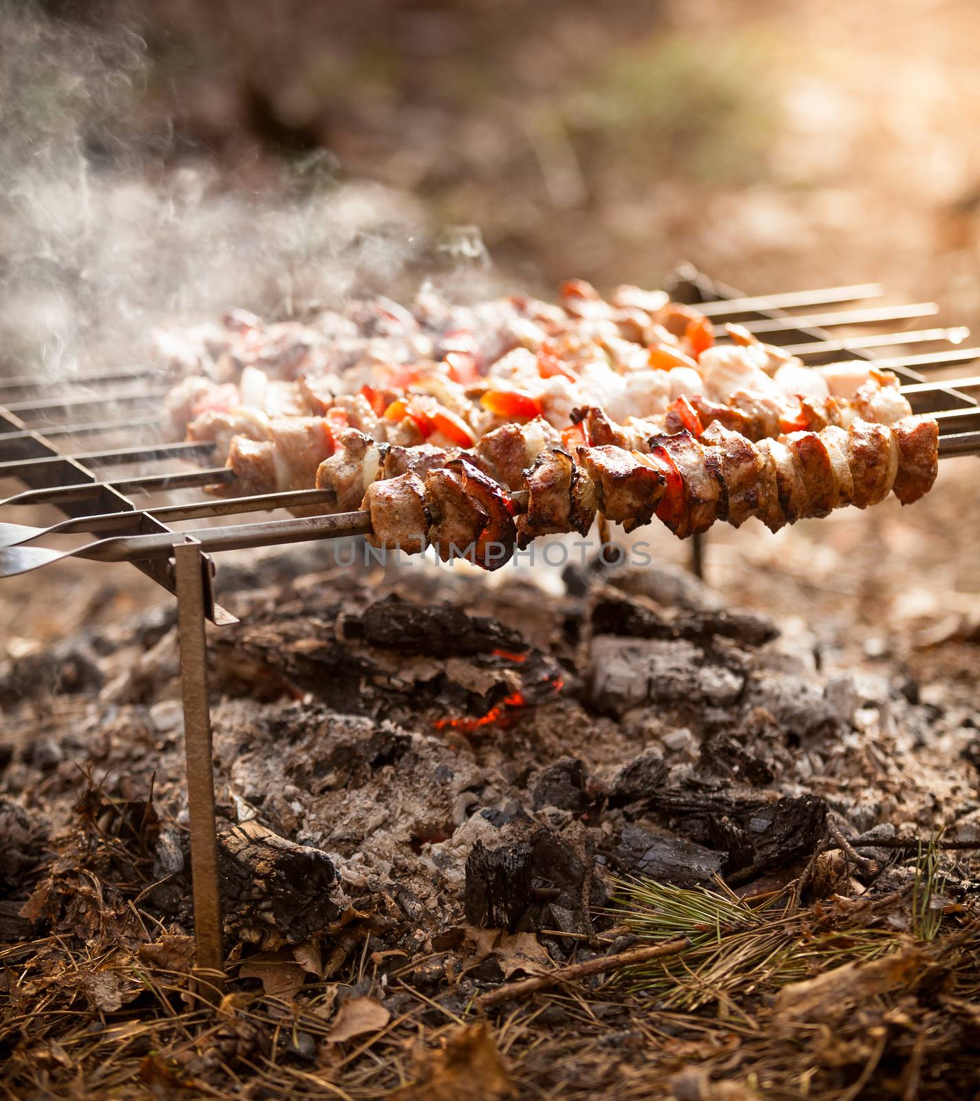 Closeup photo of kebab on fire at forest