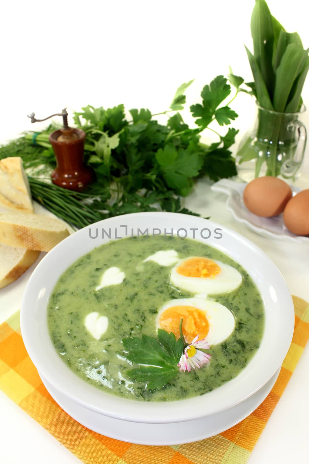 Herb soup by silencefoto