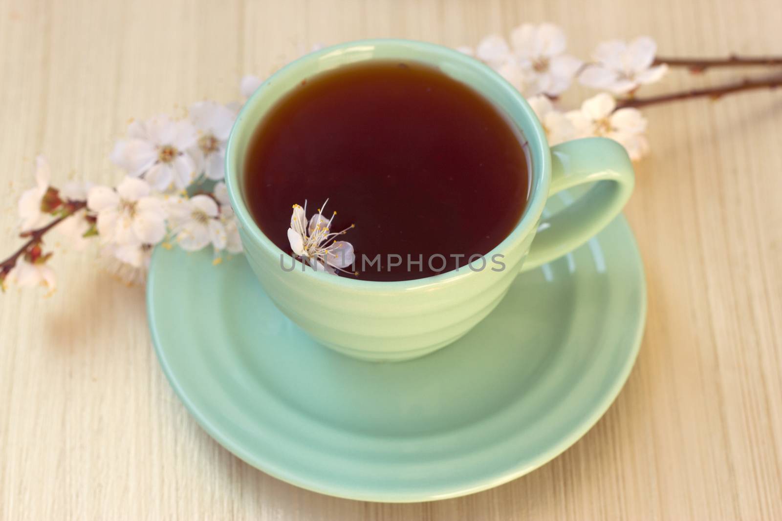 Cup of tea with blooming cherry twig. toning