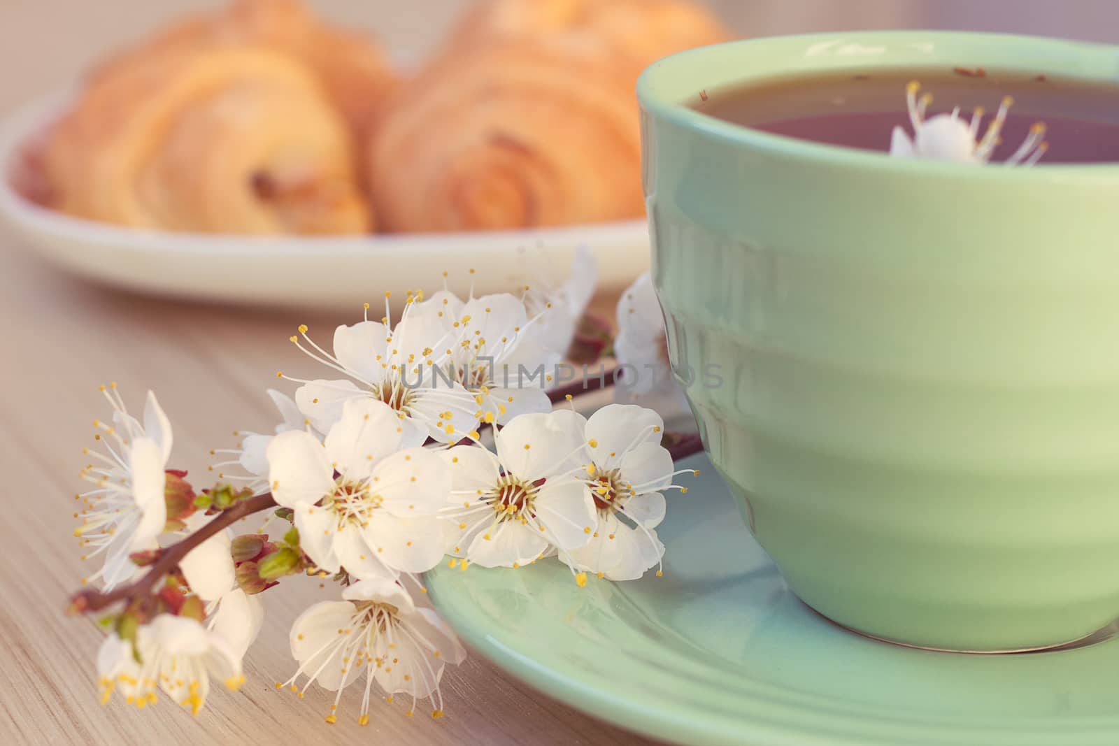 Cup of tea and croissants near blossoming branches. toning