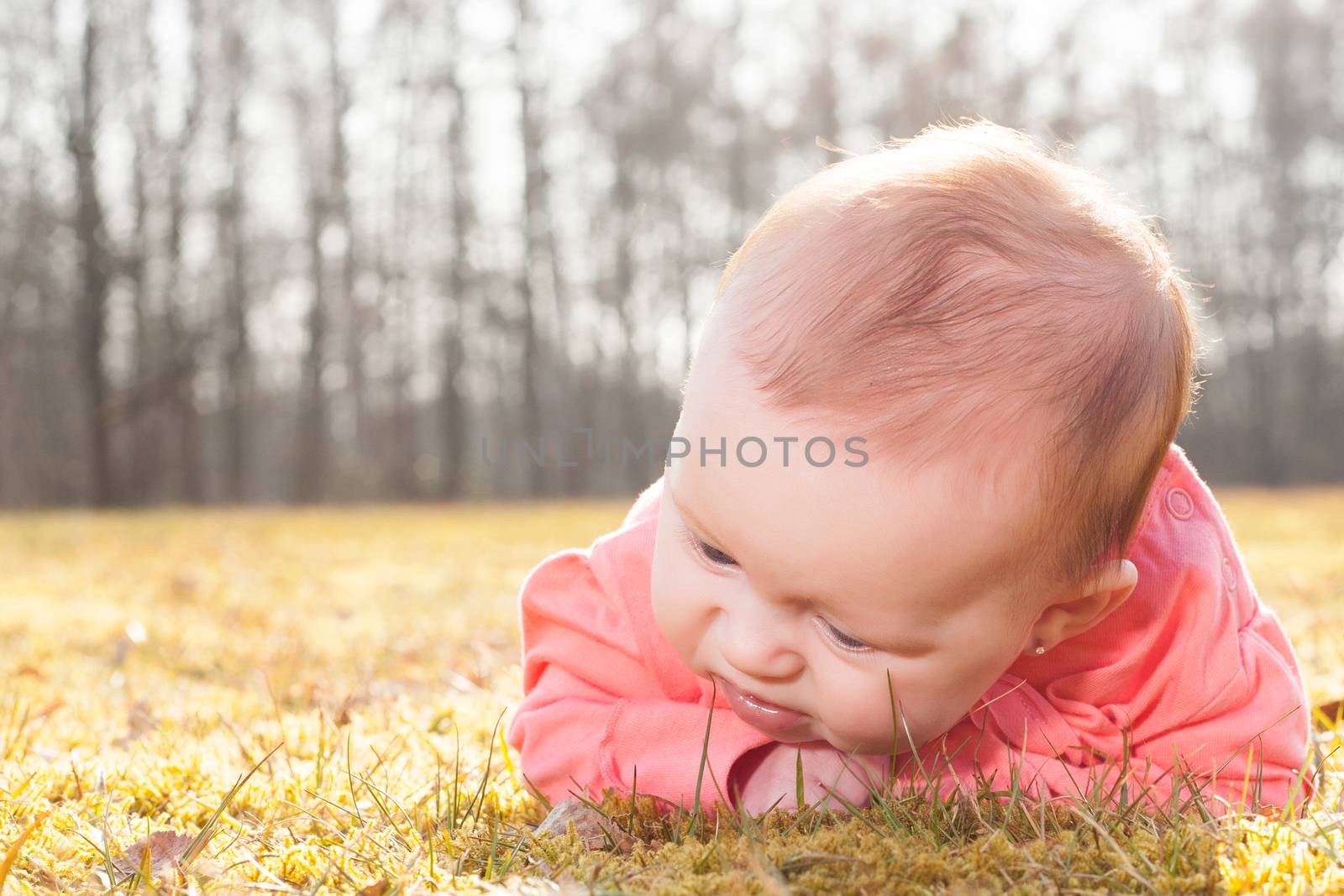 Little baby on the grass in the sun