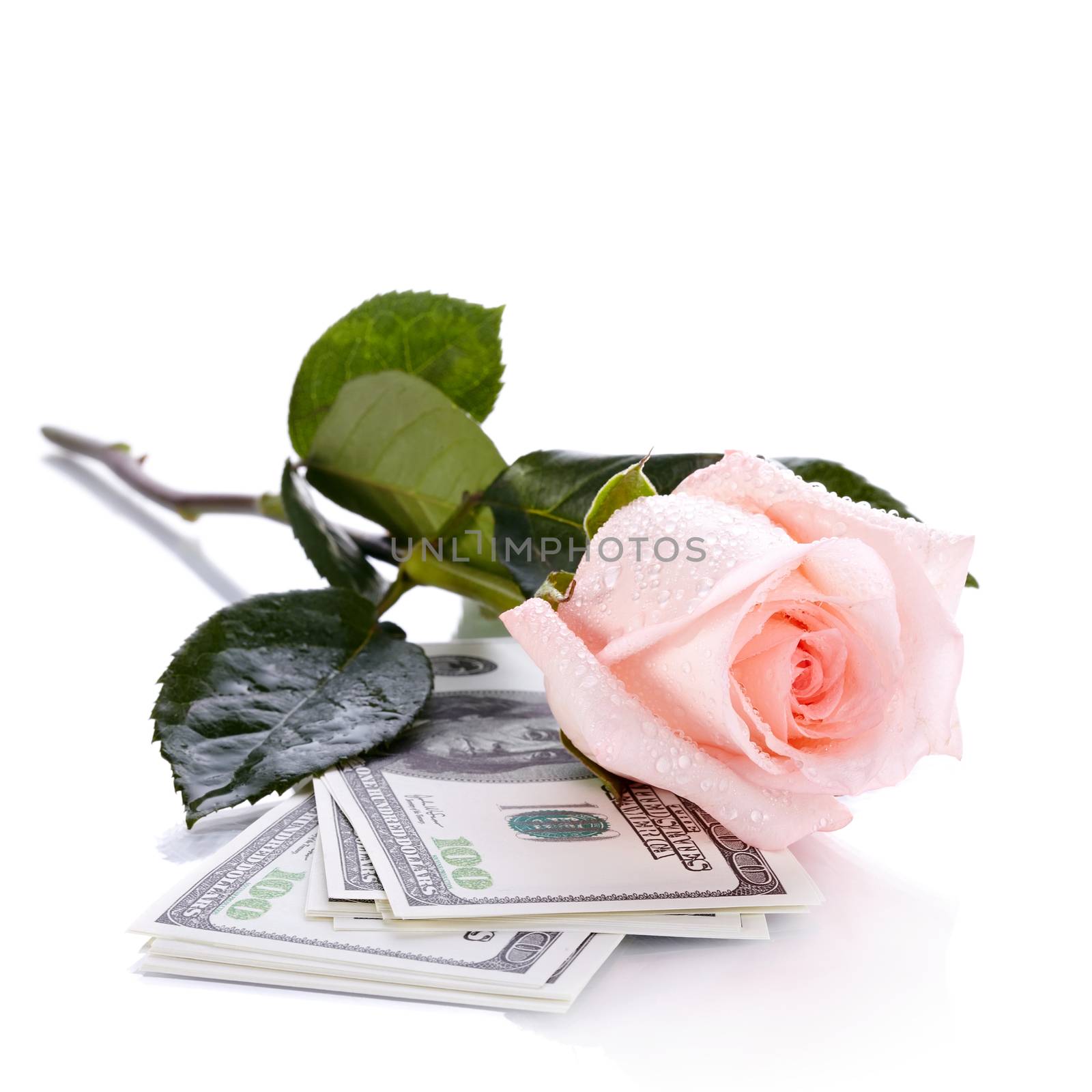 Rose and dollars. by Azaliya