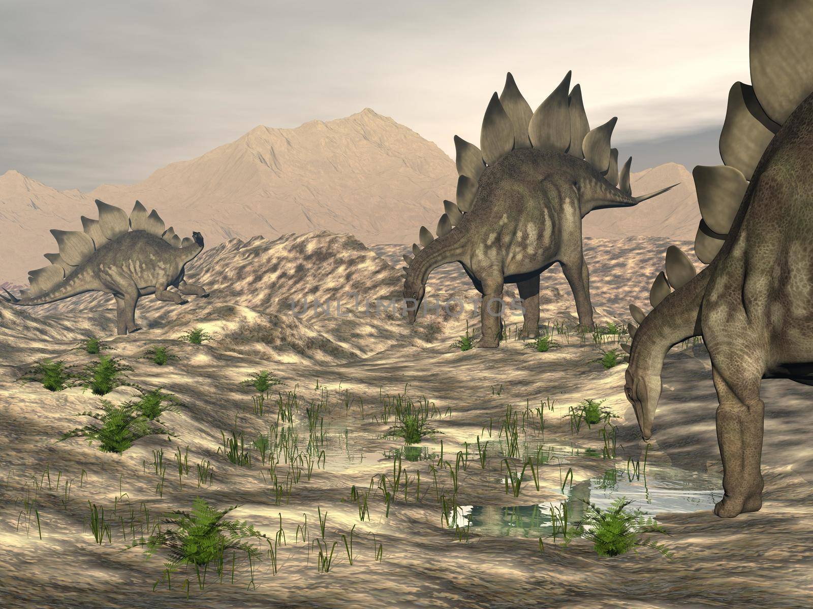 Stegosaurus near water - 3D render by Elenaphotos21