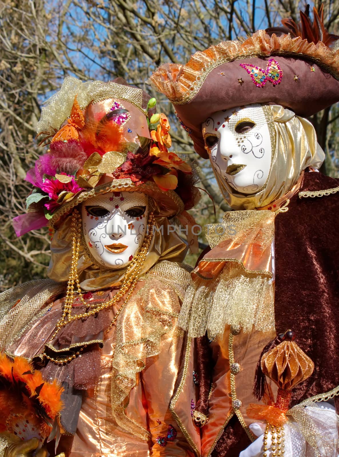 Beautiful colorful couple at the 2014 venetian carnival of Annecy, France