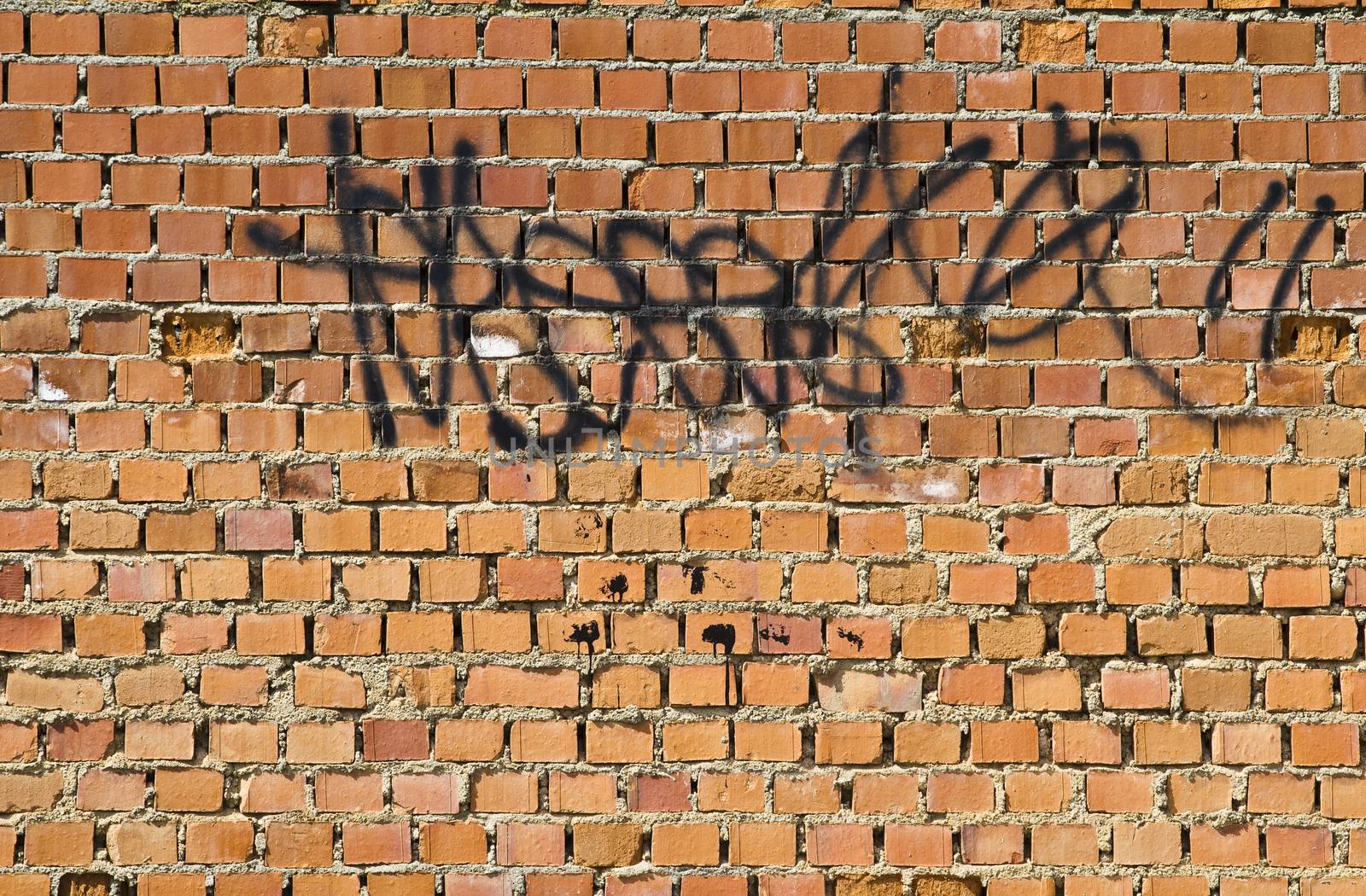 Graffiti on grunge wall by FernandoCortes