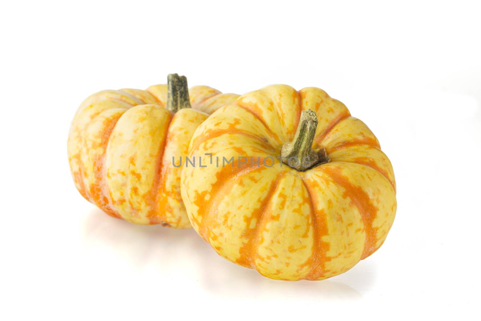 Two sweet lightning squash on white background.