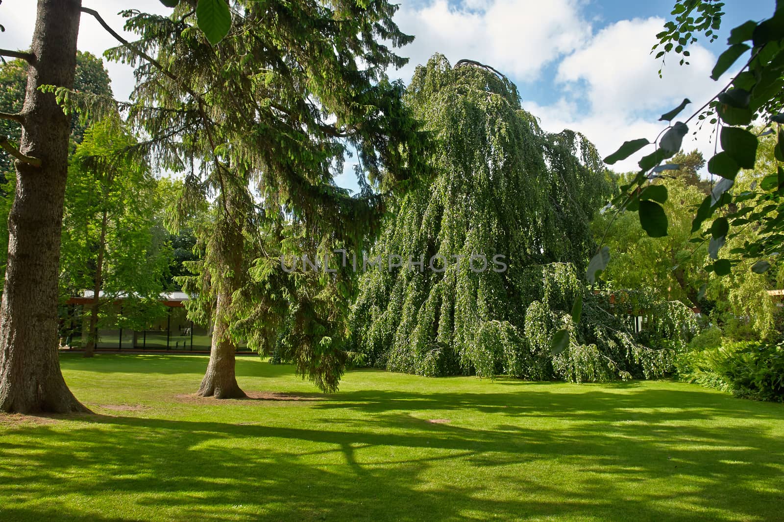  Beautiful green city park on a bright lovely sunny day                              